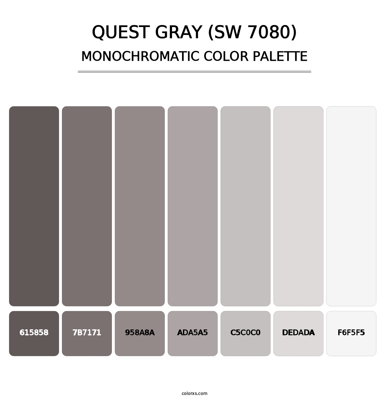 Quest Gray (SW 7080) - Monochromatic Color Palette