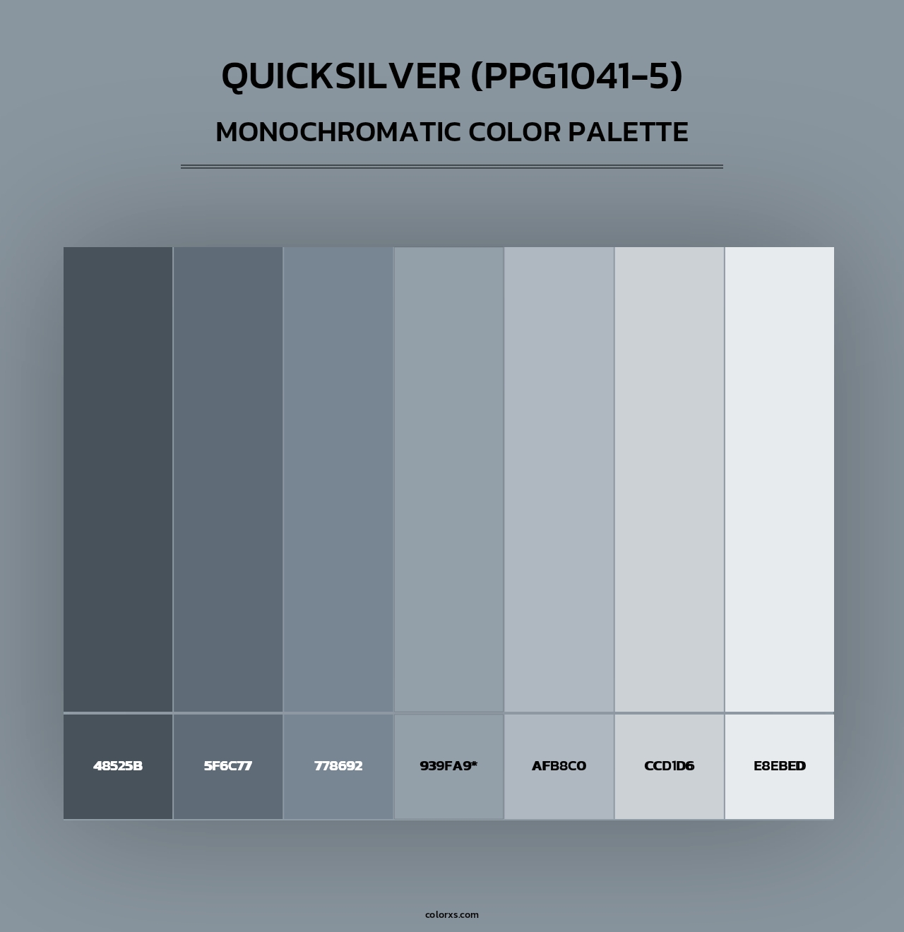 Quicksilver (PPG1041-5) - Monochromatic Color Palette