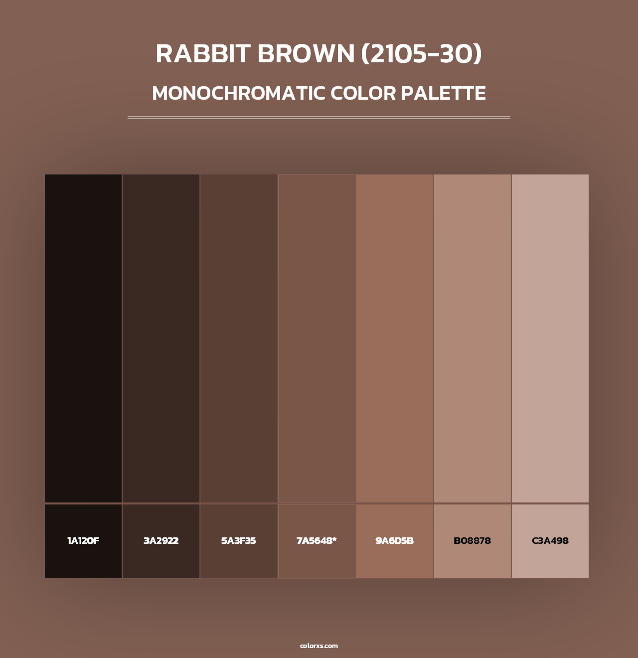Rabbit Brown (2105-30) - Monochromatic Color Palette