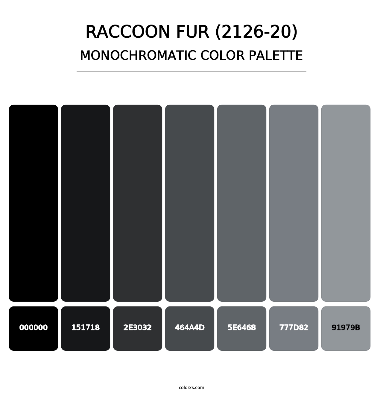 Raccoon Fur (2126-20) - Monochromatic Color Palette