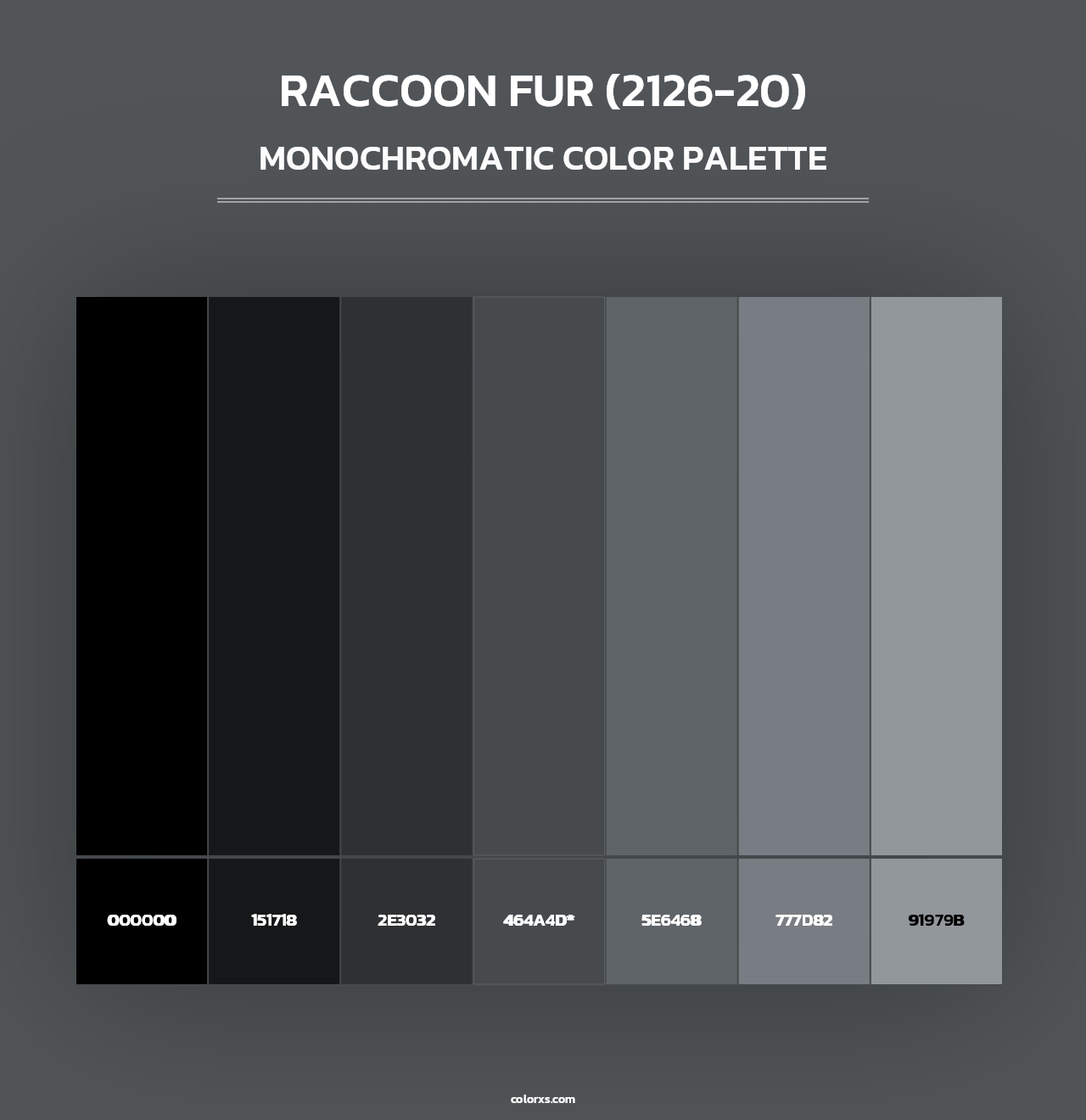 Raccoon Fur (2126-20) - Monochromatic Color Palette