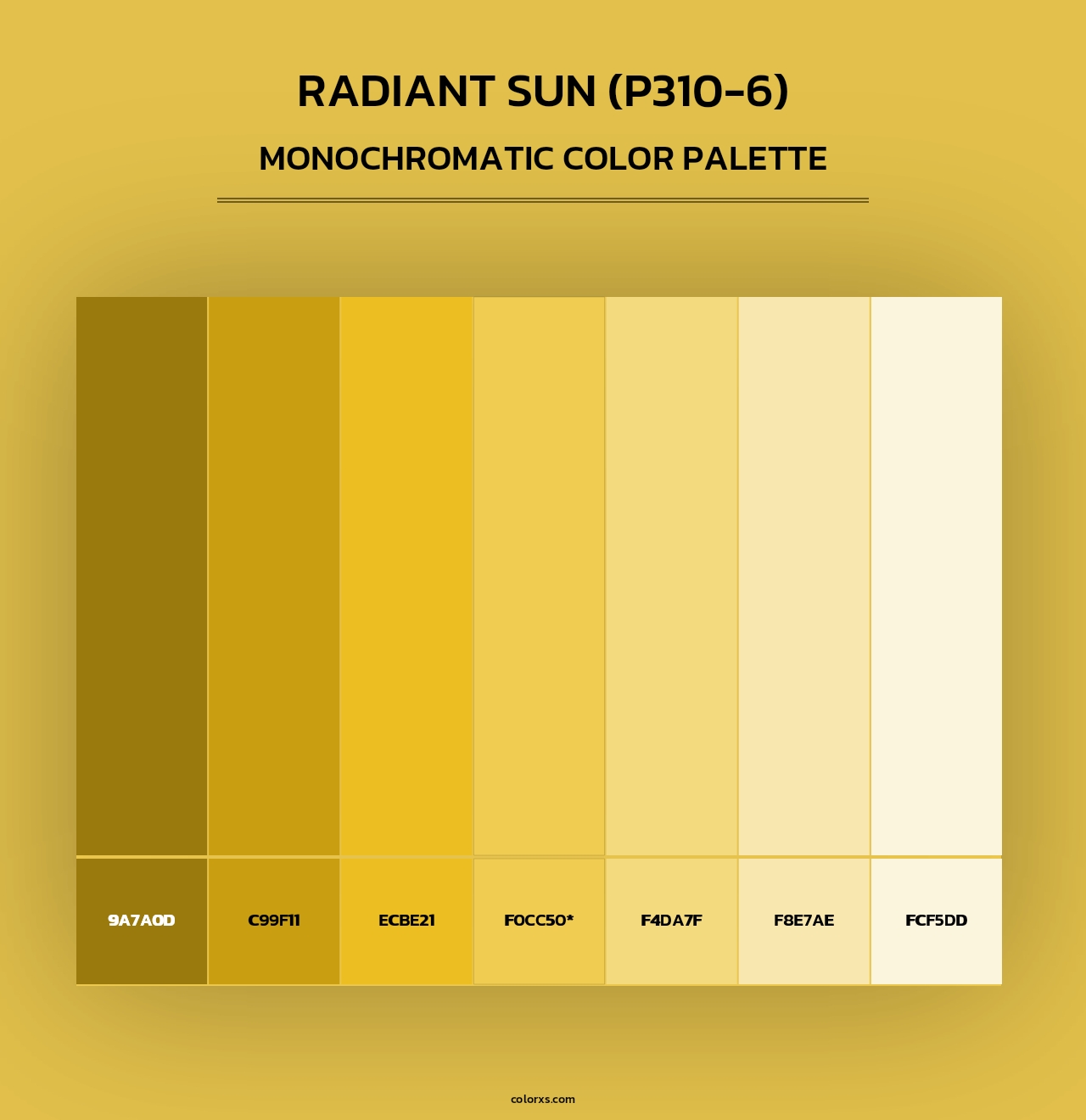 Radiant Sun (P310-6) - Monochromatic Color Palette