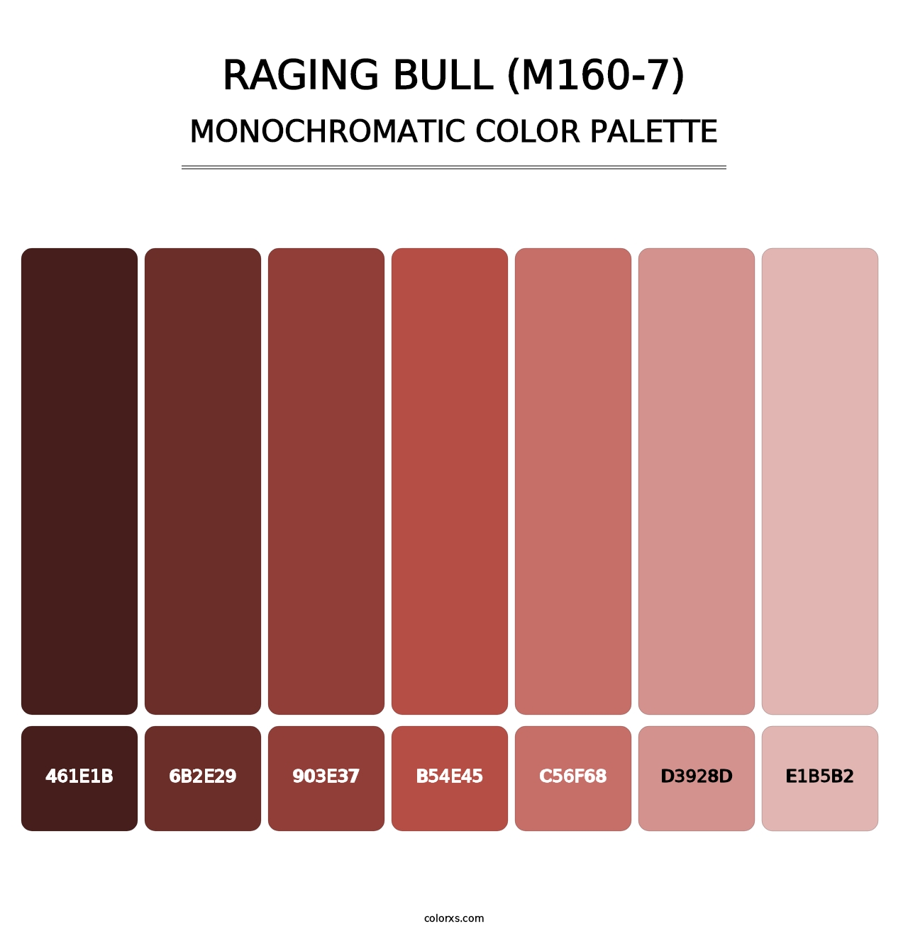 Raging Bull (M160-7) - Monochromatic Color Palette