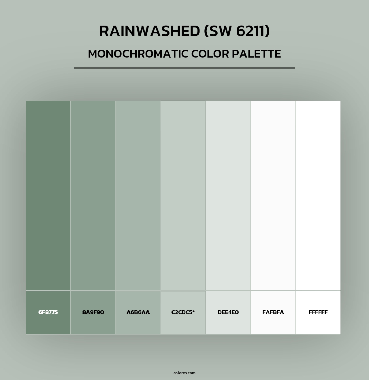 Rainwashed (SW 6211) - Monochromatic Color Palette