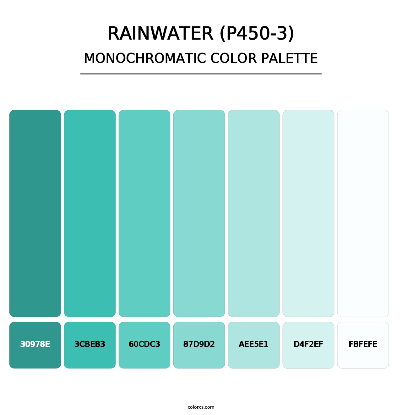 Rainwater (P450-3) - Monochromatic Color Palette