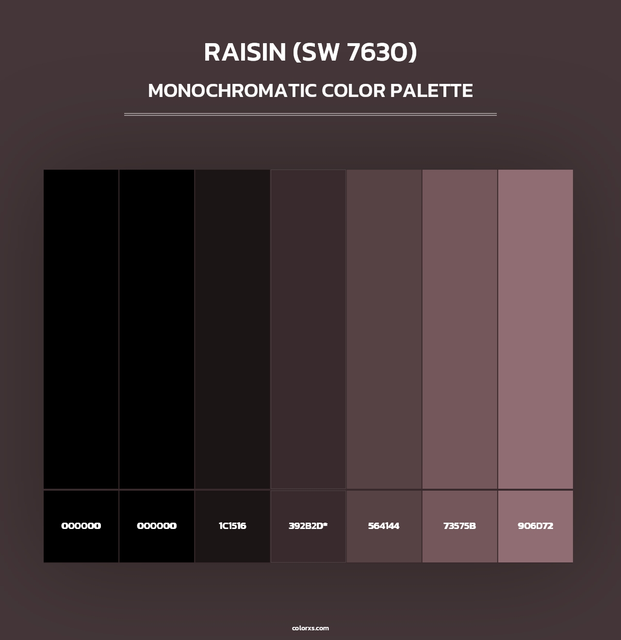 Raisin (SW 7630) - Monochromatic Color Palette