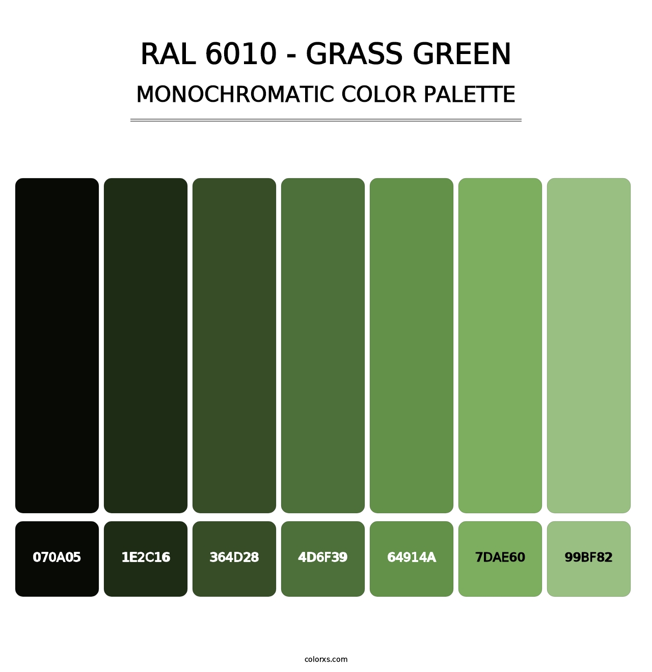 RAL 6010 - Grass Green - Monochromatic Color Palette