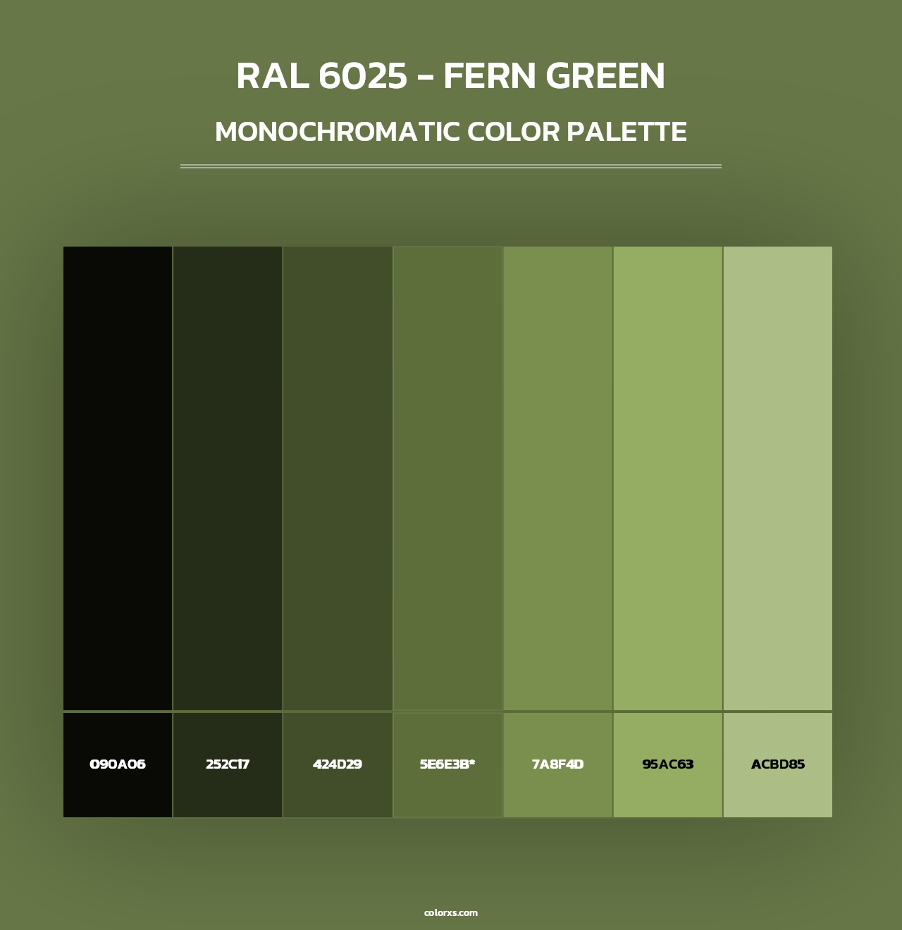 RAL 6025 - Fern Green - Monochromatic Color Palette