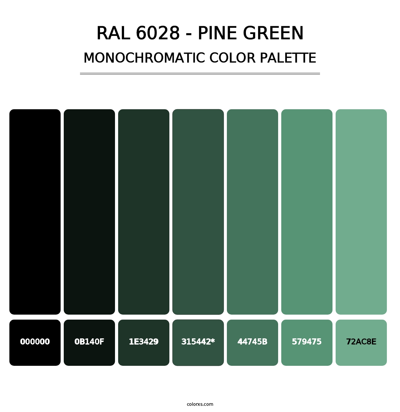 RAL 6028 - Pine Green - Monochromatic Color Palette
