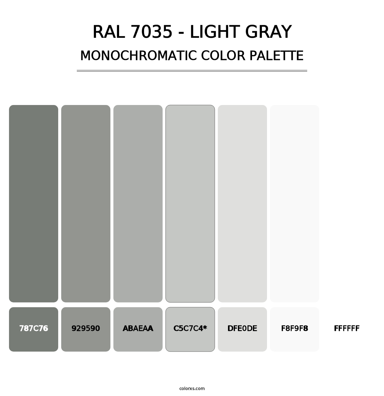 RAL 7035 - Light Gray - Monochromatic Color Palette