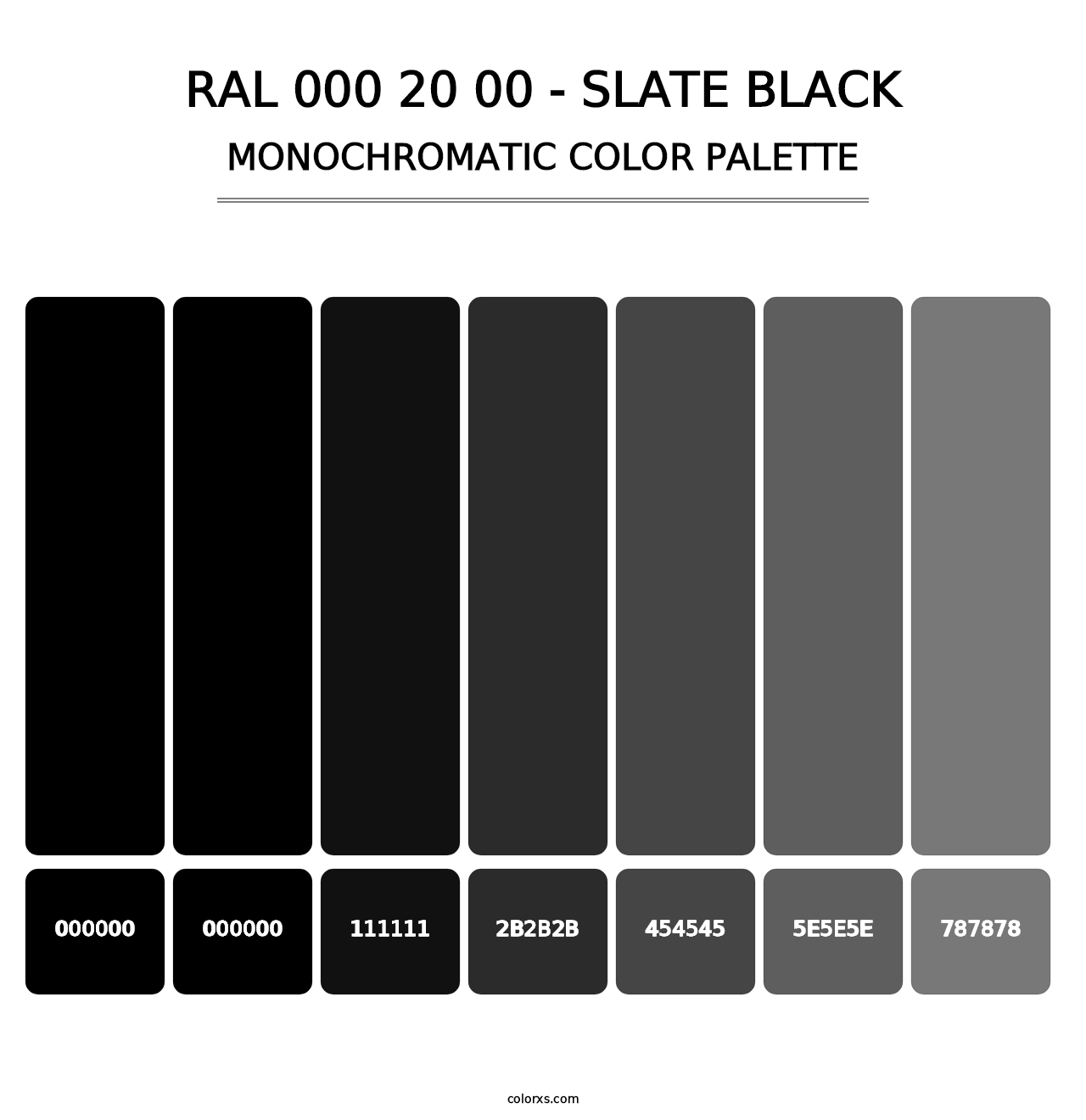 RAL 000 20 00 - Slate Black - Monochromatic Color Palette
