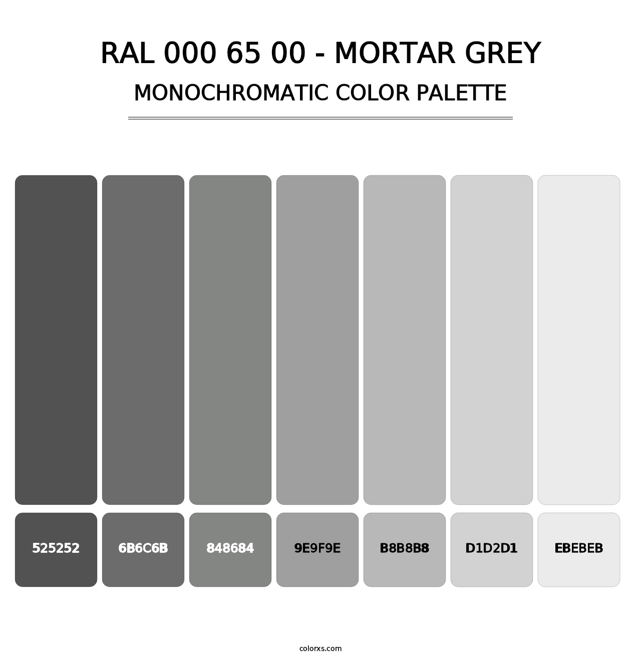 RAL 000 65 00 - Mortar Grey - Monochromatic Color Palette