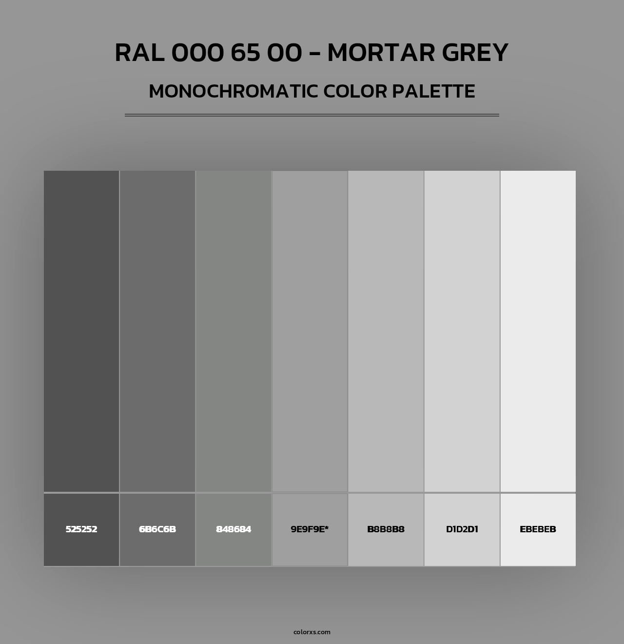 RAL 000 65 00 - Mortar Grey - Monochromatic Color Palette