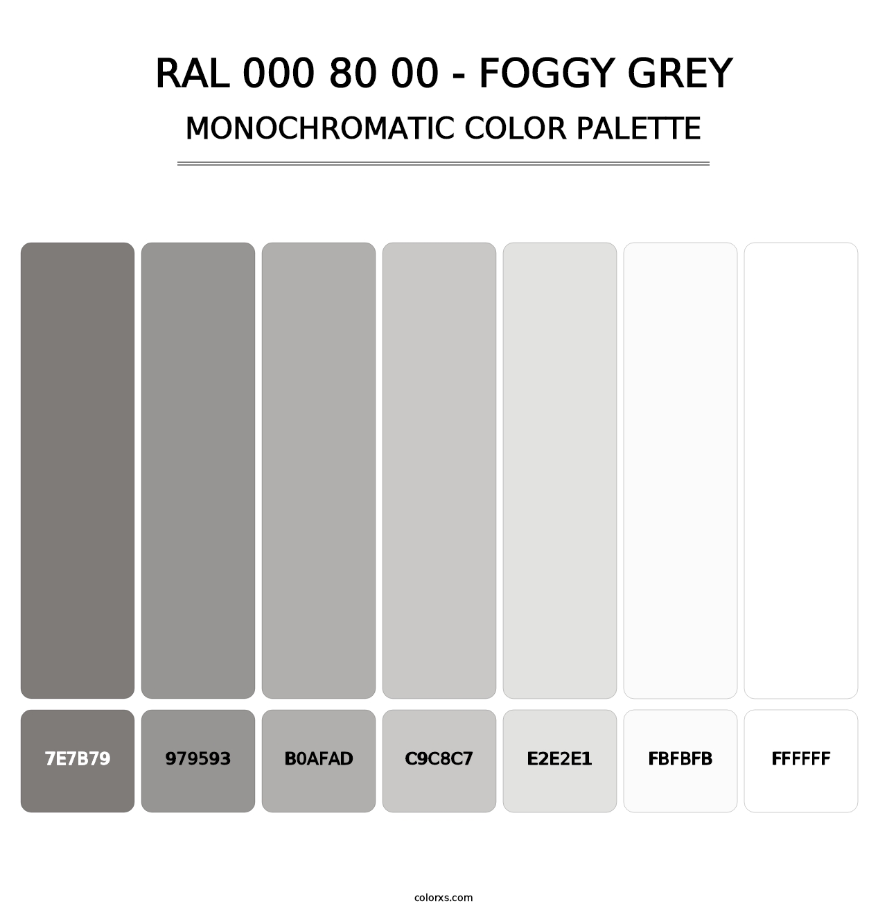 RAL 000 80 00 - Foggy Grey - Monochromatic Color Palette