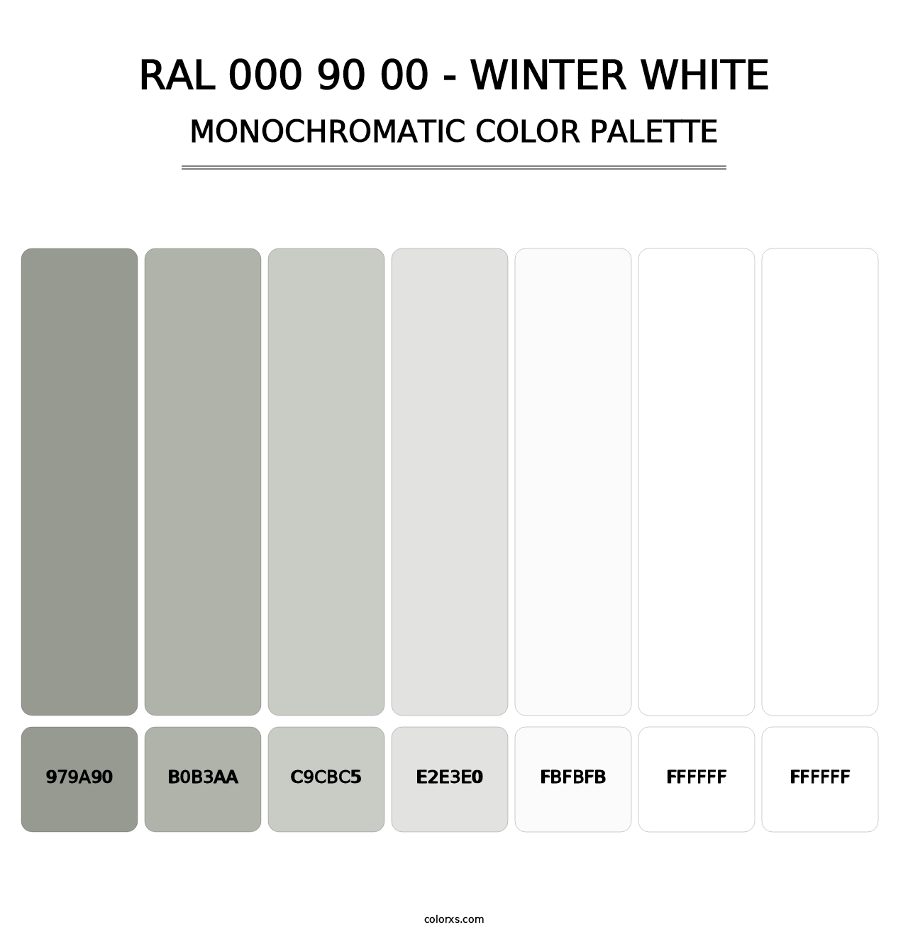 RAL 000 90 00 - Winter White - Monochromatic Color Palette