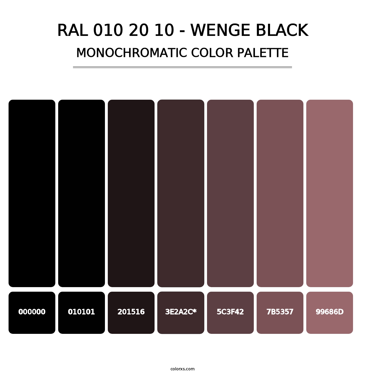 RAL 010 20 10 - Wenge Black - Monochromatic Color Palette