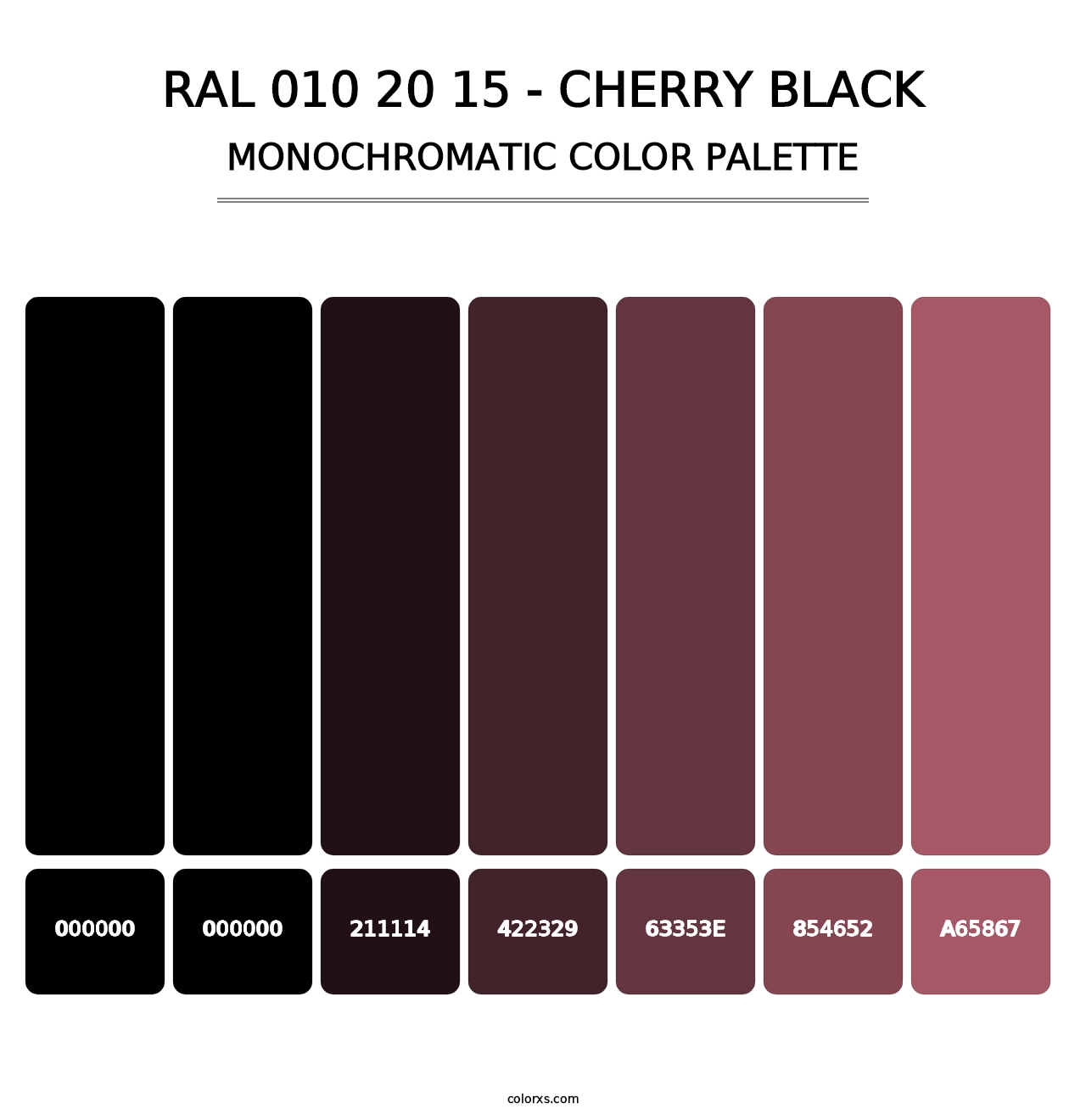 RAL 010 20 15 - Cherry Black - Monochromatic Color Palette