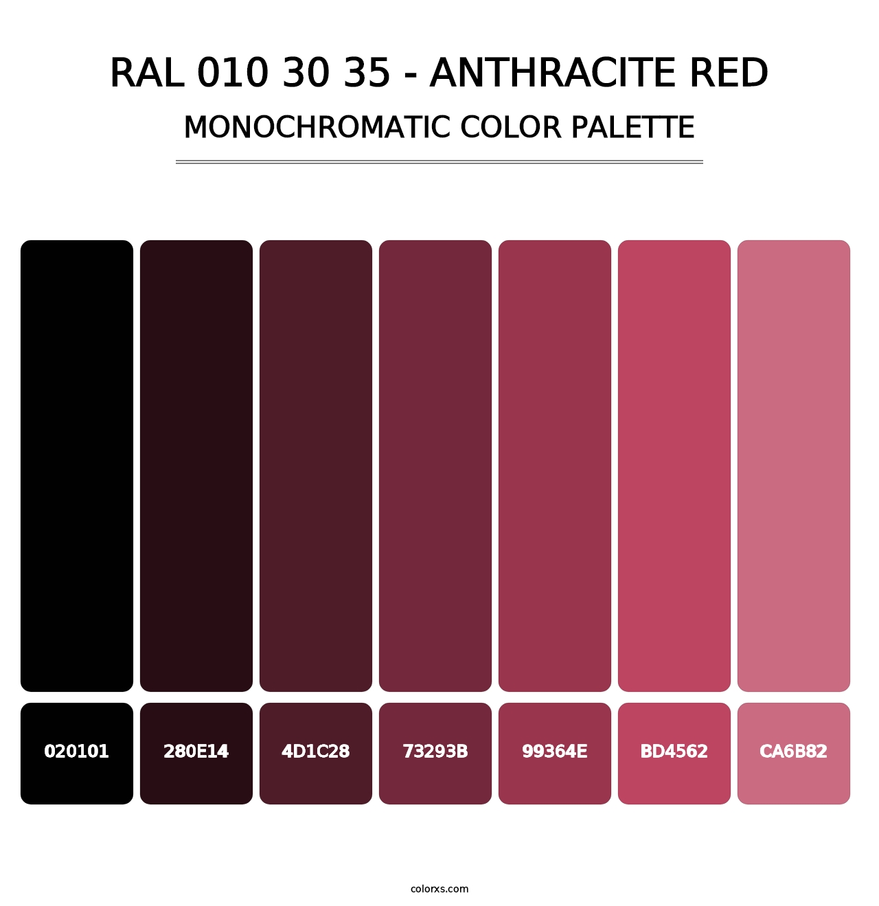 RAL 010 30 35 - Anthracite Red - Monochromatic Color Palette
