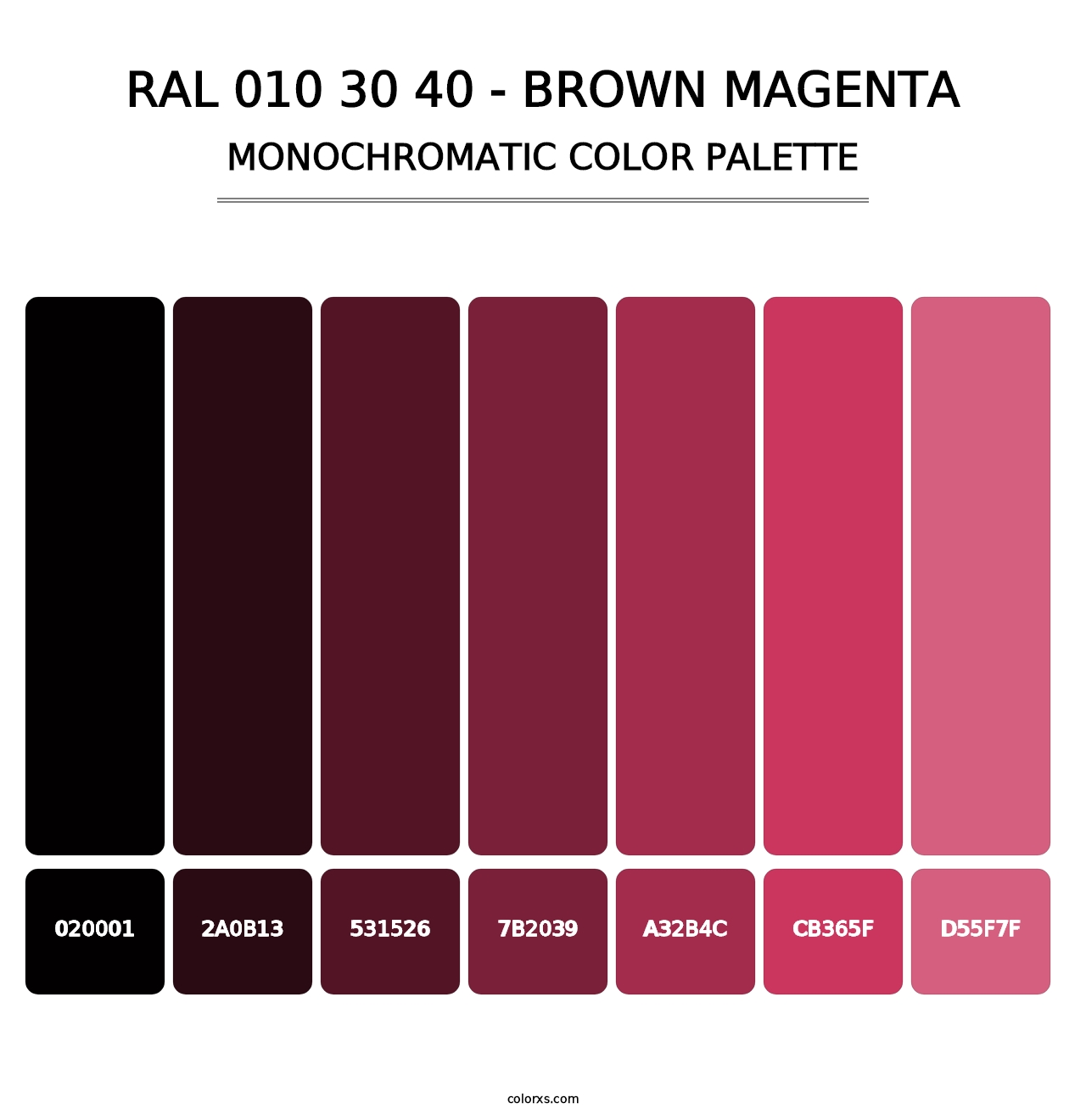RAL 010 30 40 - Brown Magenta - Monochromatic Color Palette