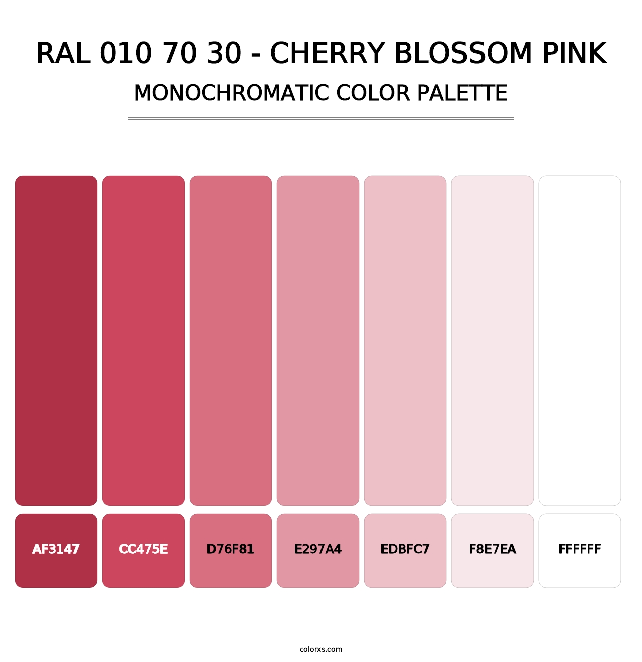 RAL 010 70 30 - Cherry Blossom Pink - Monochromatic Color Palette