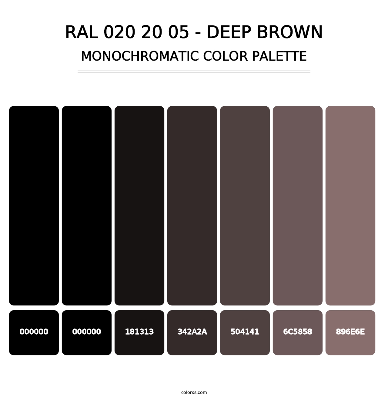 RAL 020 20 05 - Deep Brown - Monochromatic Color Palette