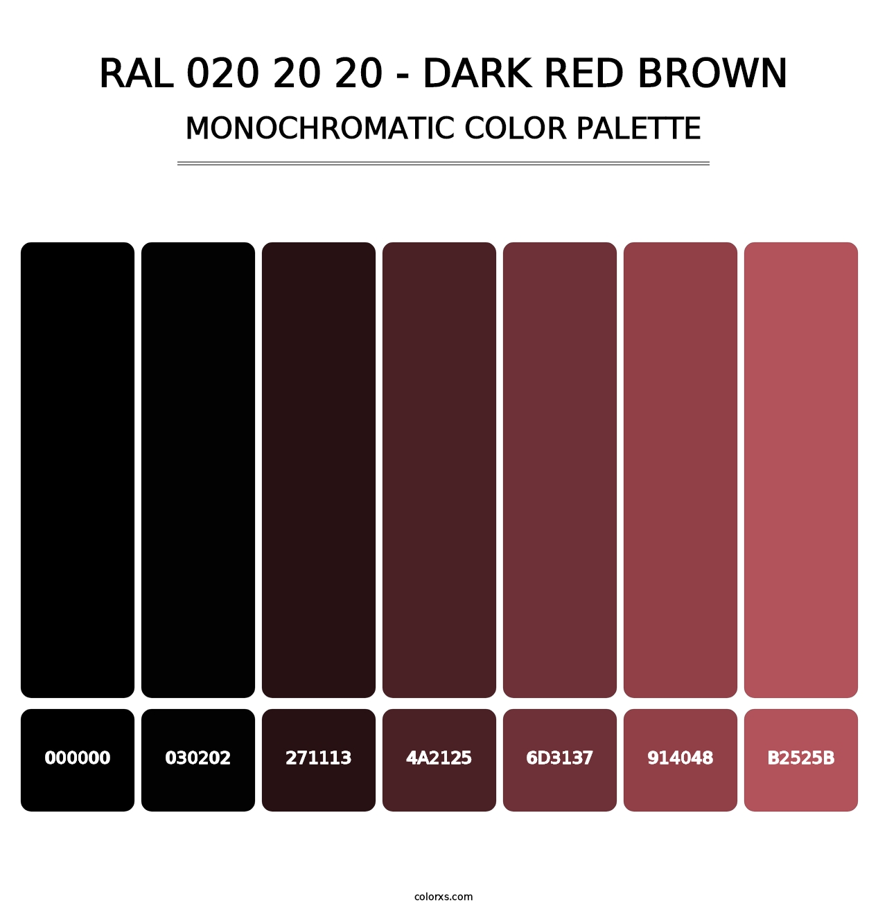 RAL 020 20 20 - Dark Red Brown - Monochromatic Color Palette