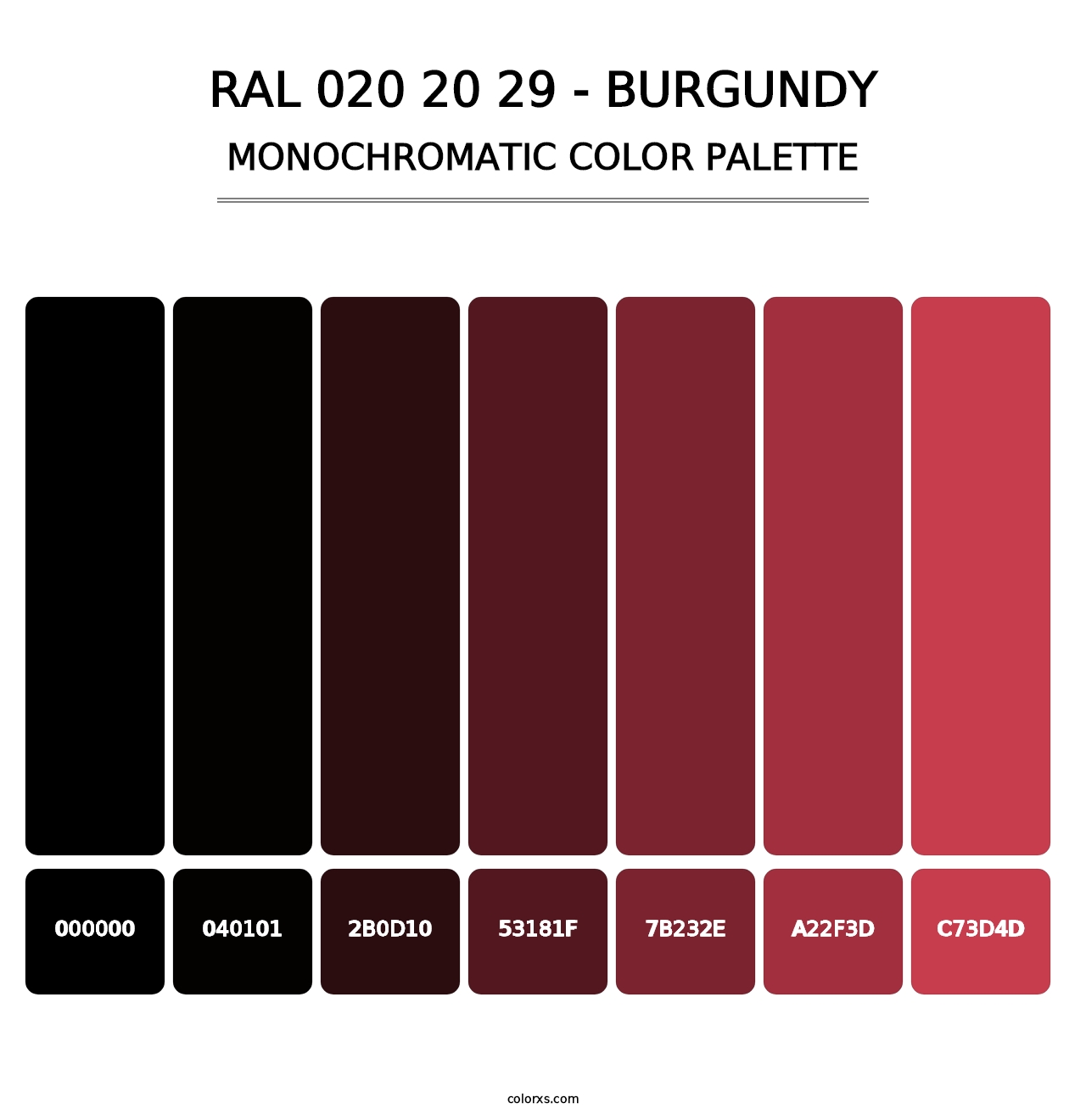 RAL 020 20 29 - Burgundy - Monochromatic Color Palette