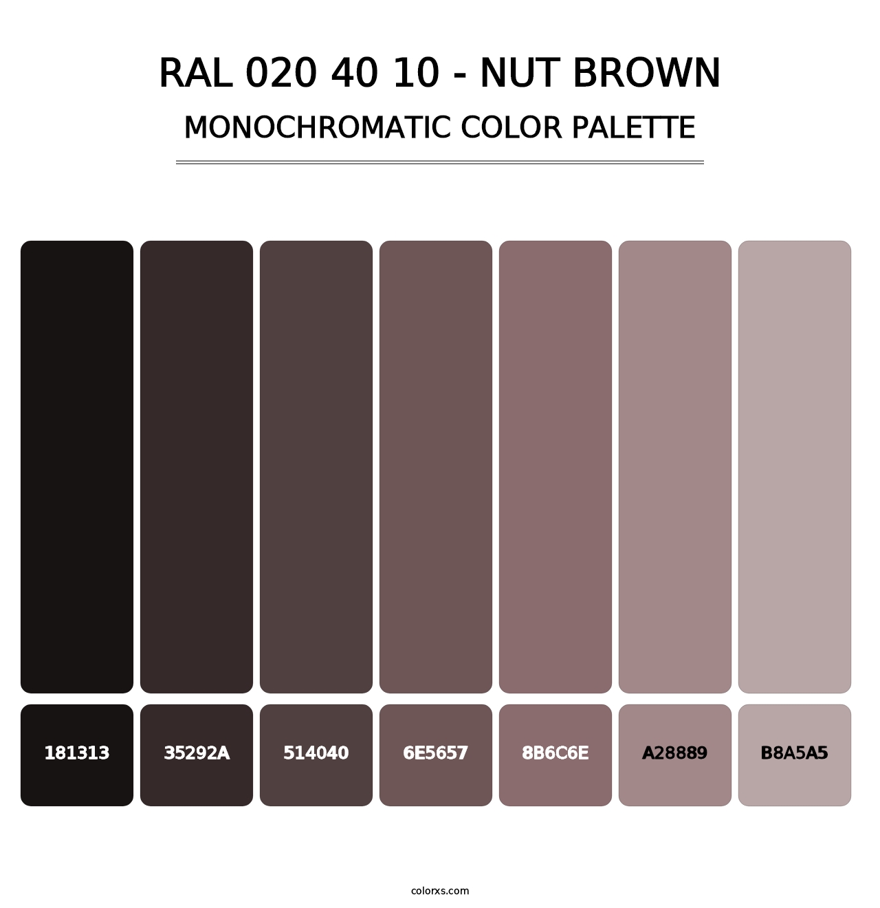 RAL 020 40 10 - Nut Brown - Monochromatic Color Palette