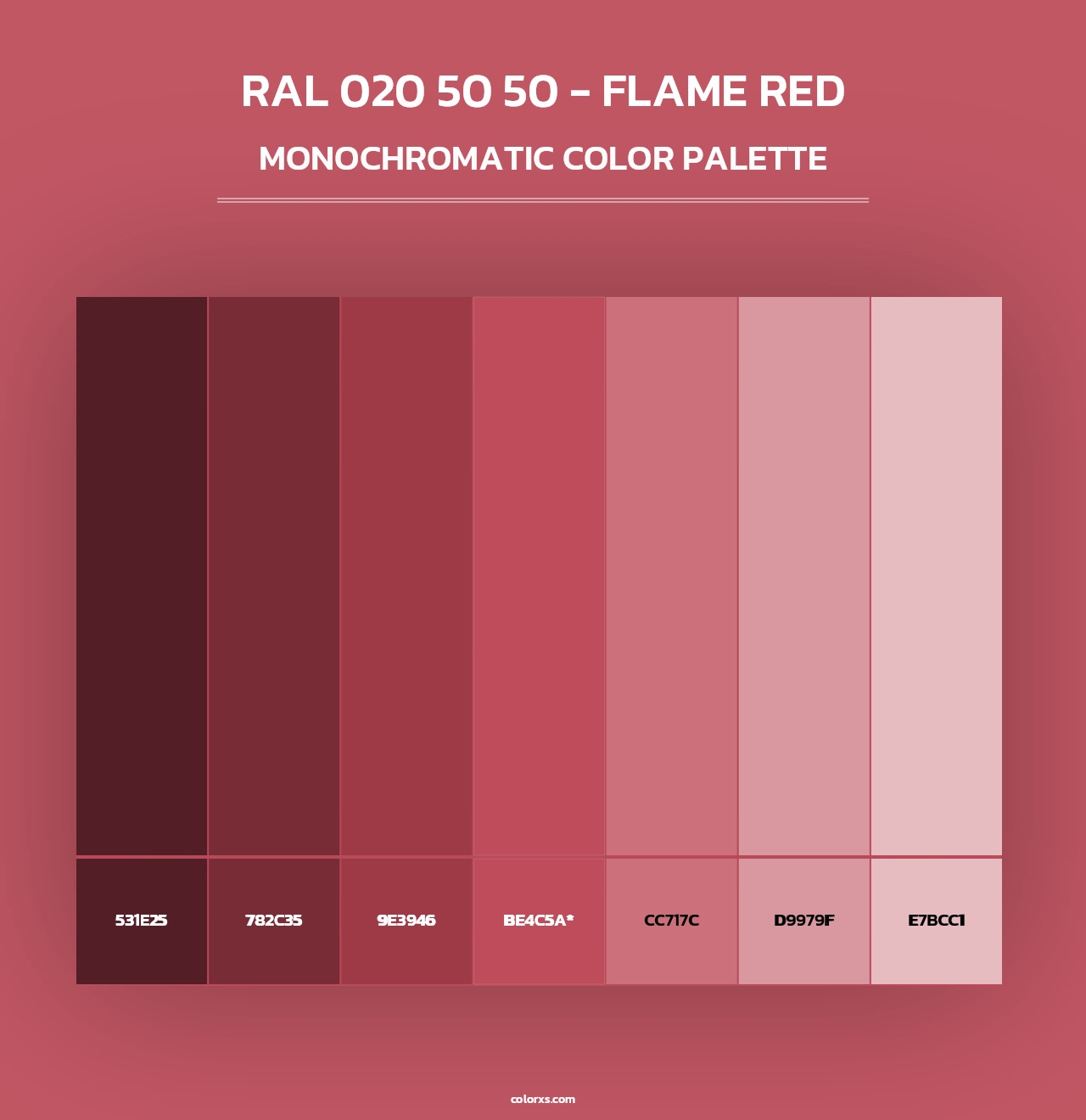 RAL 020 50 50 - Flame Red - Monochromatic Color Palette