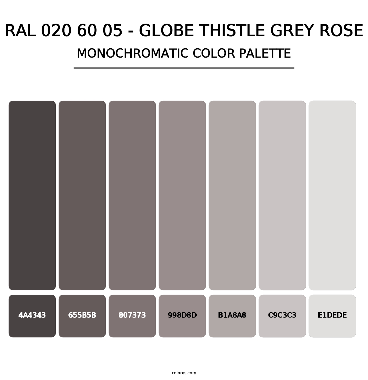 RAL 020 60 05 - Globe Thistle Grey Rose - Monochromatic Color Palette