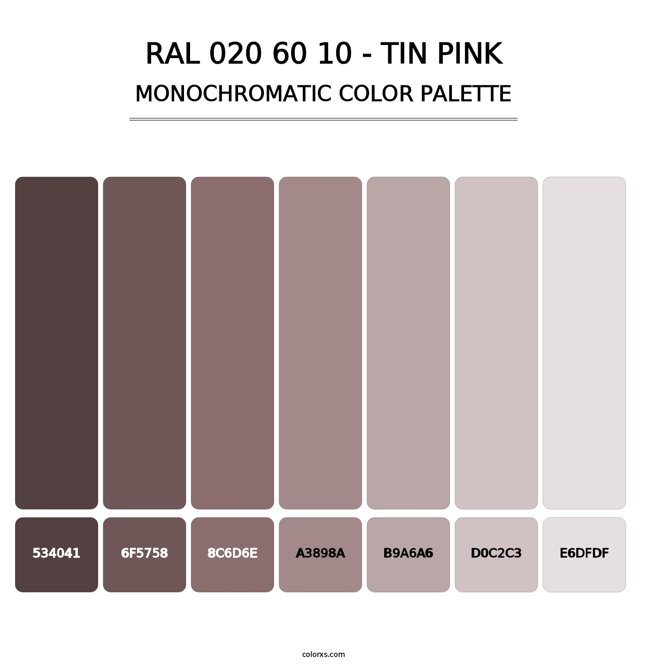 RAL 020 60 10 - Tin Pink - Monochromatic Color Palette