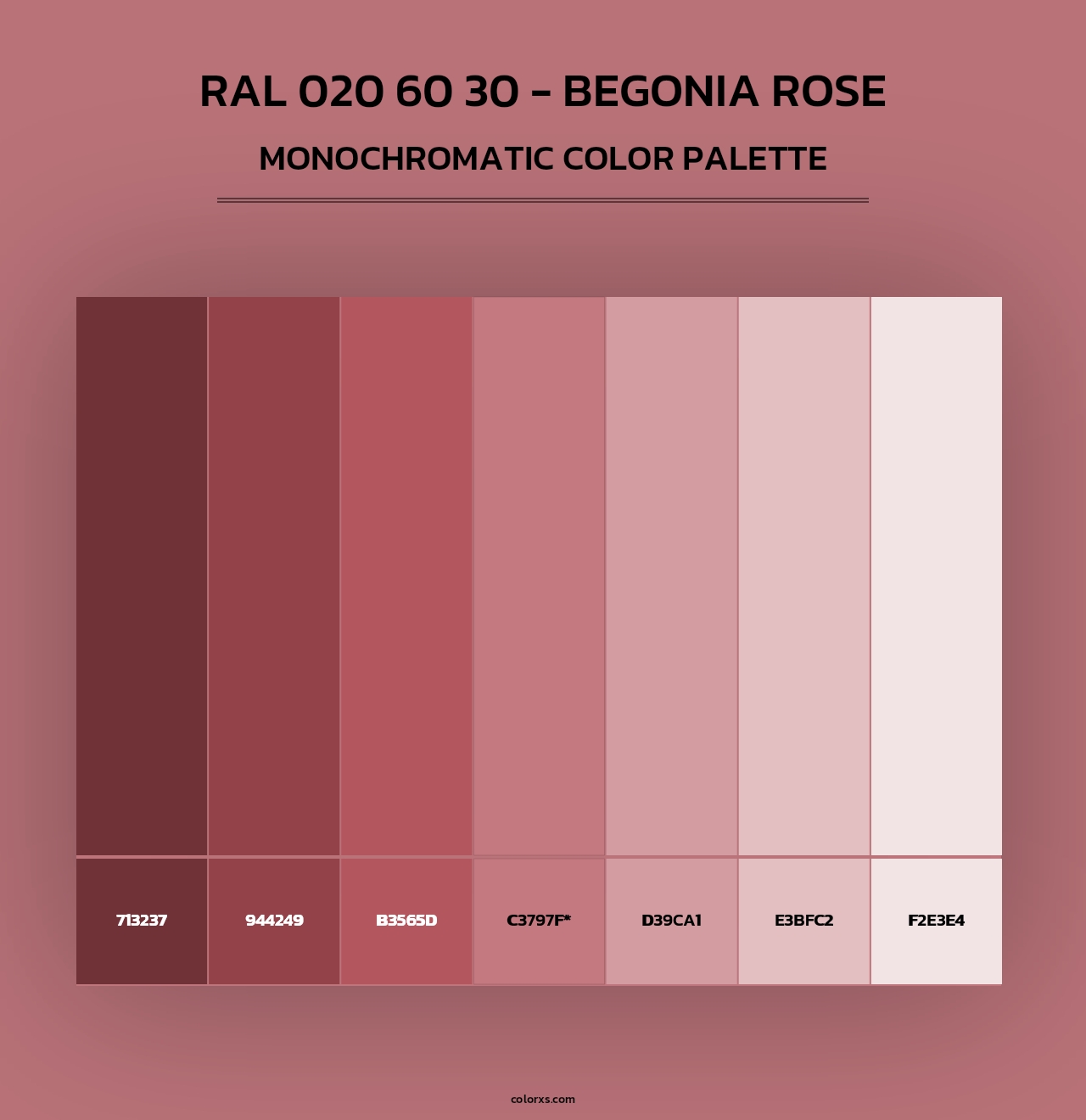 RAL 020 60 30 - Begonia Rose - Monochromatic Color Palette