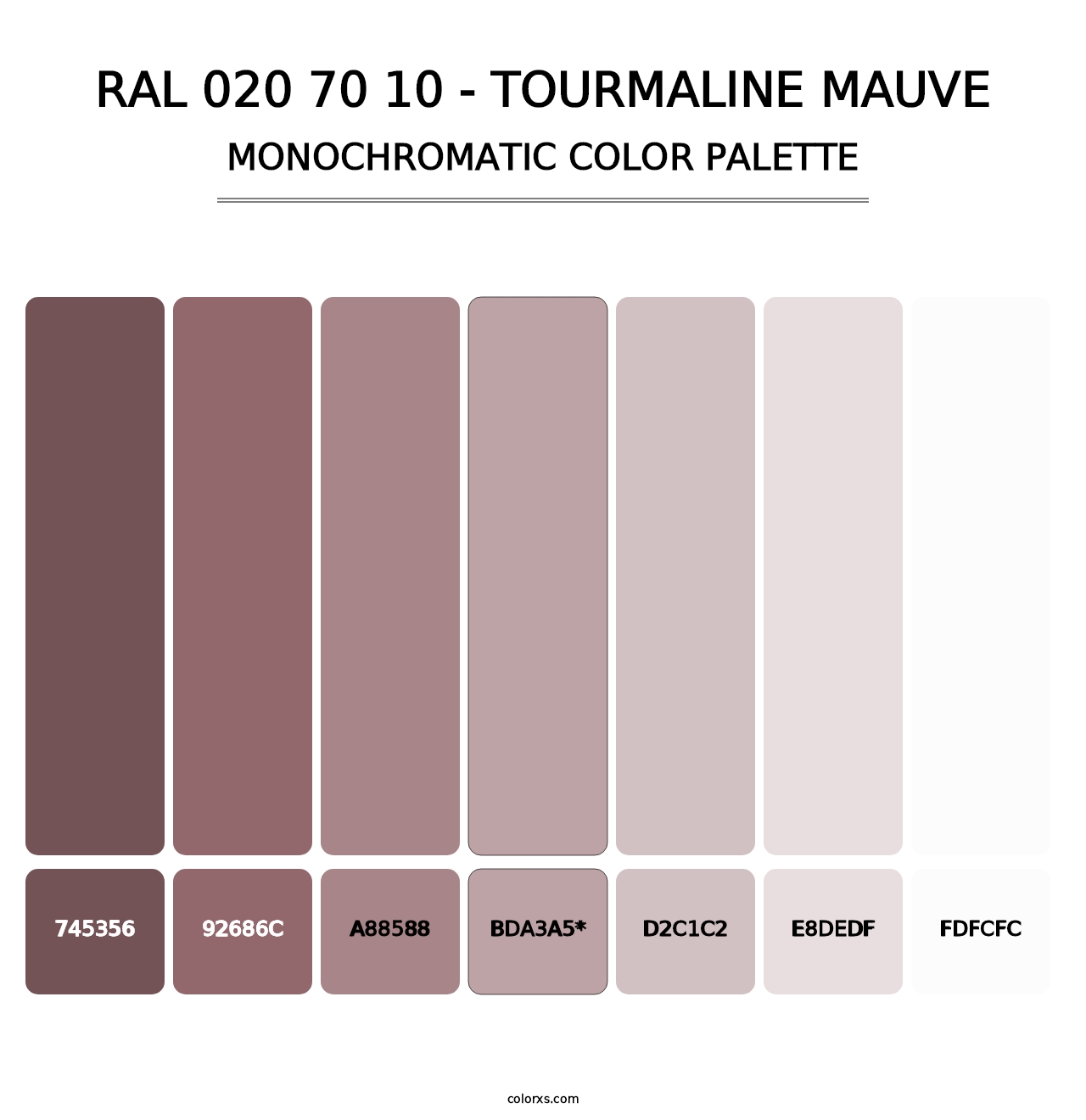 RAL 020 70 10 - Tourmaline Mauve - Monochromatic Color Palette