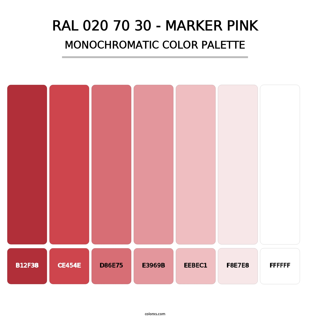 RAL 020 70 30 - Marker Pink - Monochromatic Color Palette