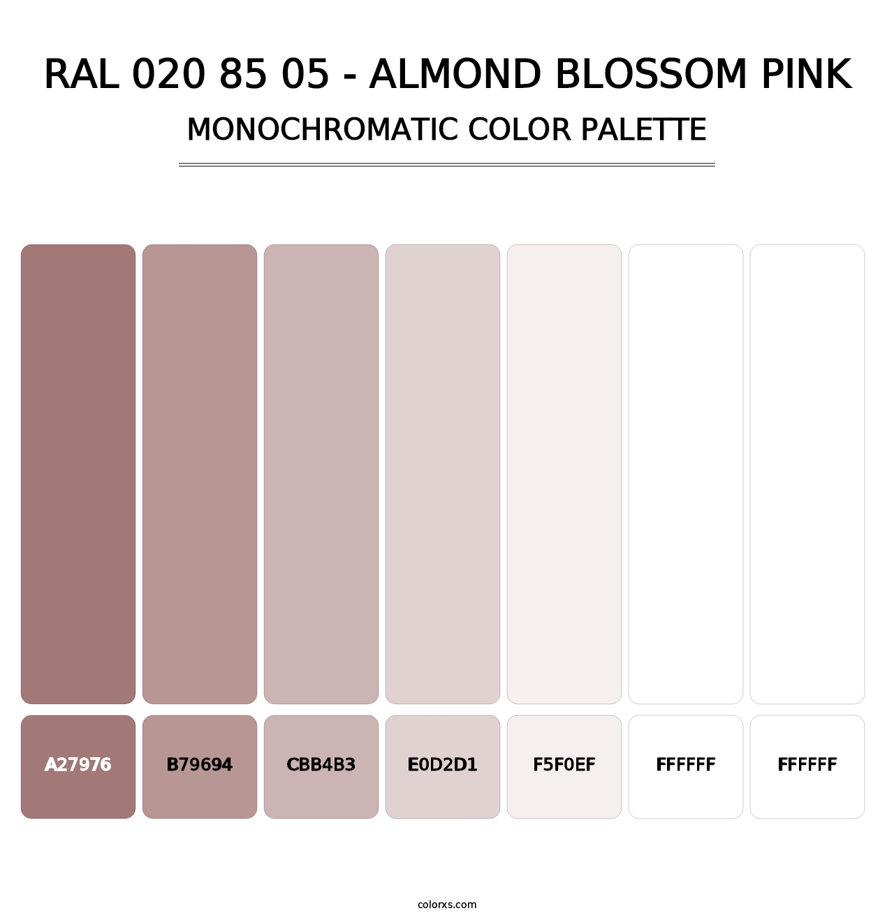RAL 020 85 05 - Almond Blossom Pink - Monochromatic Color Palette