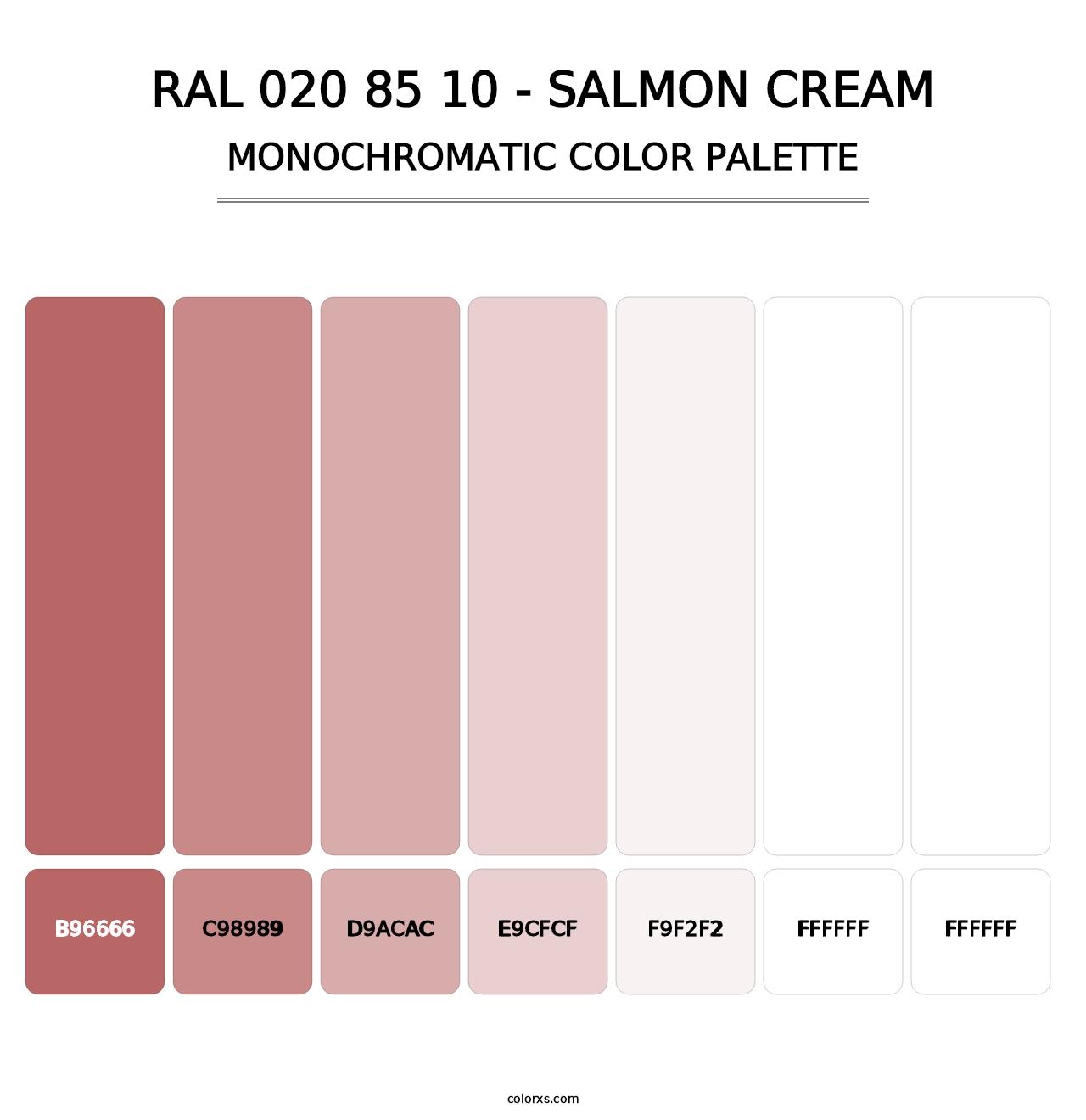 RAL 020 85 10 - Salmon Cream - Monochromatic Color Palette