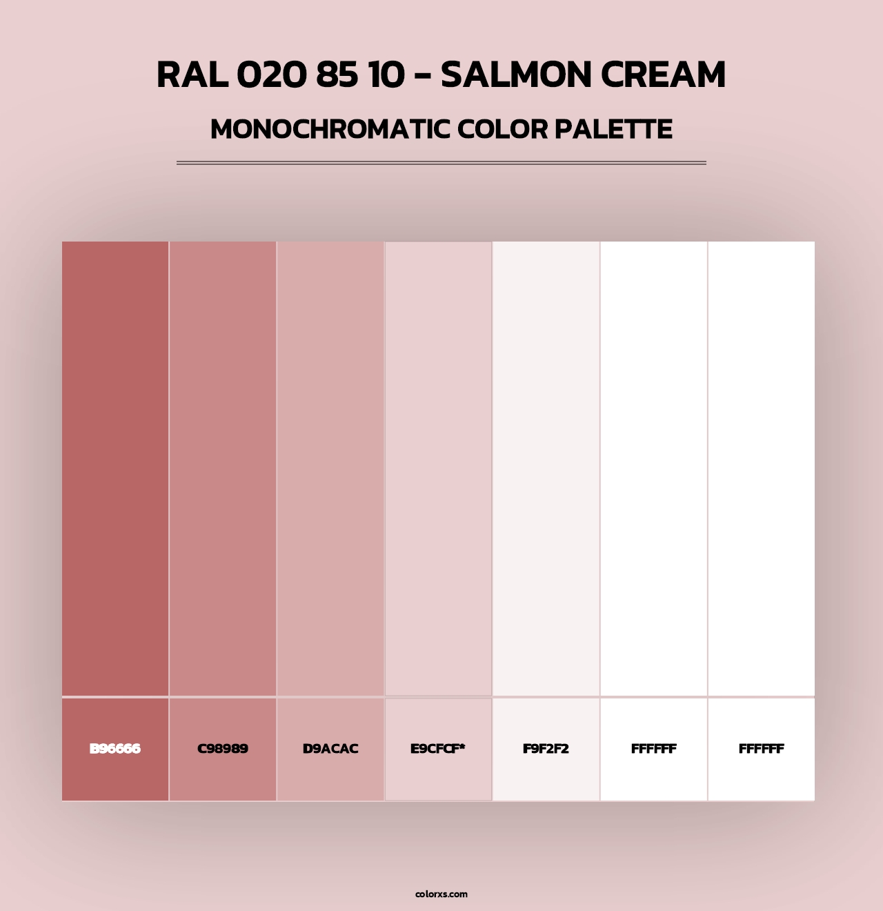 RAL 020 85 10 - Salmon Cream - Monochromatic Color Palette