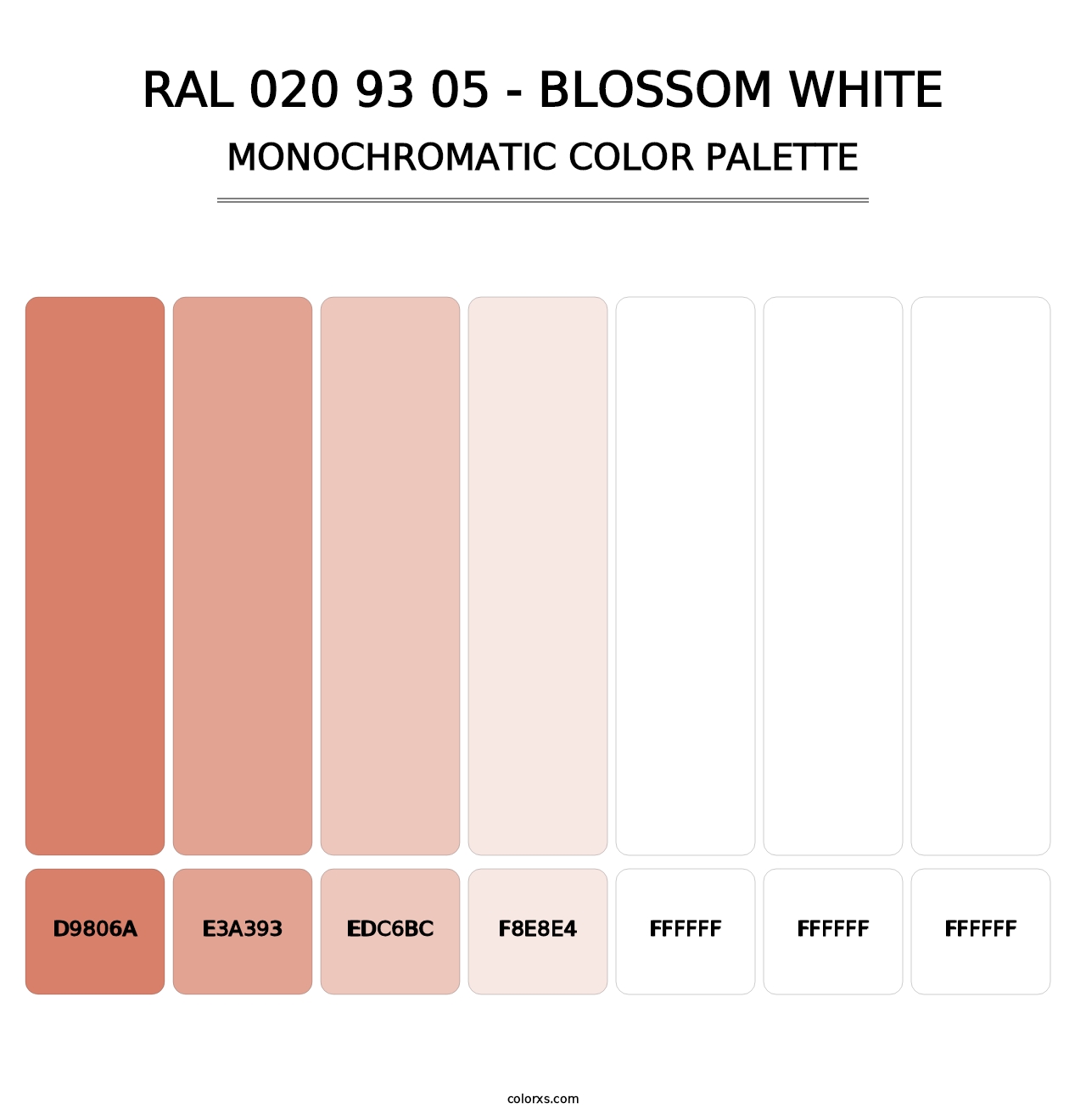 RAL 020 93 05 - Blossom White - Monochromatic Color Palette