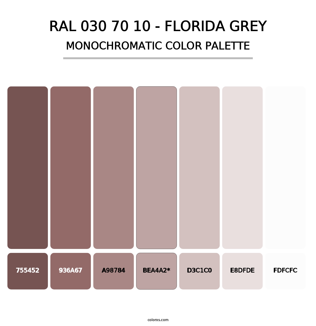 RAL 030 70 10 - Florida Grey - Monochromatic Color Palette