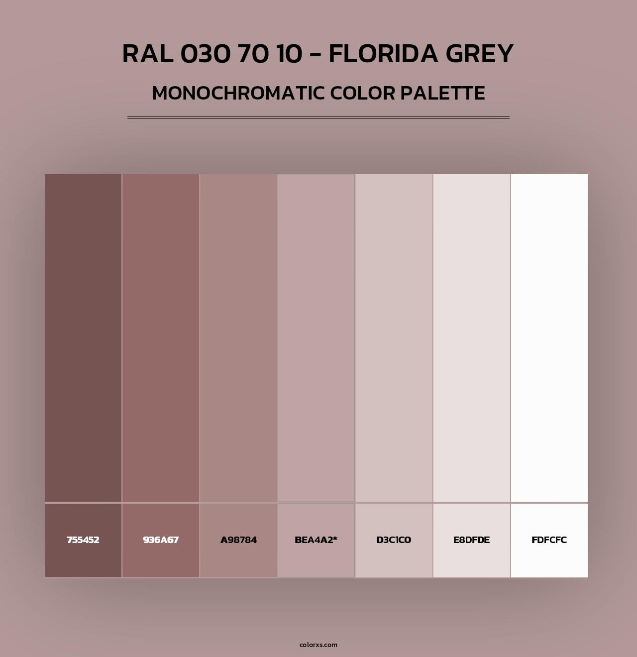 RAL 030 70 10 - Florida Grey - Monochromatic Color Palette