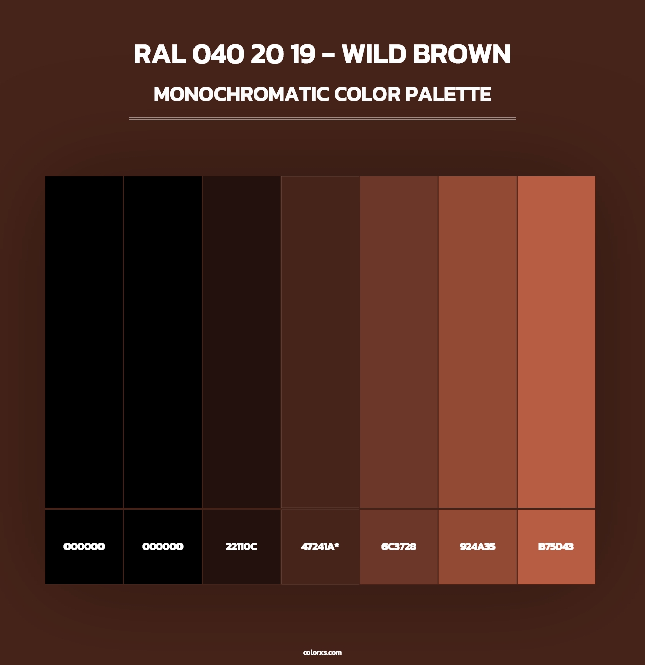 RAL 040 20 19 - Wild Brown - Monochromatic Color Palette