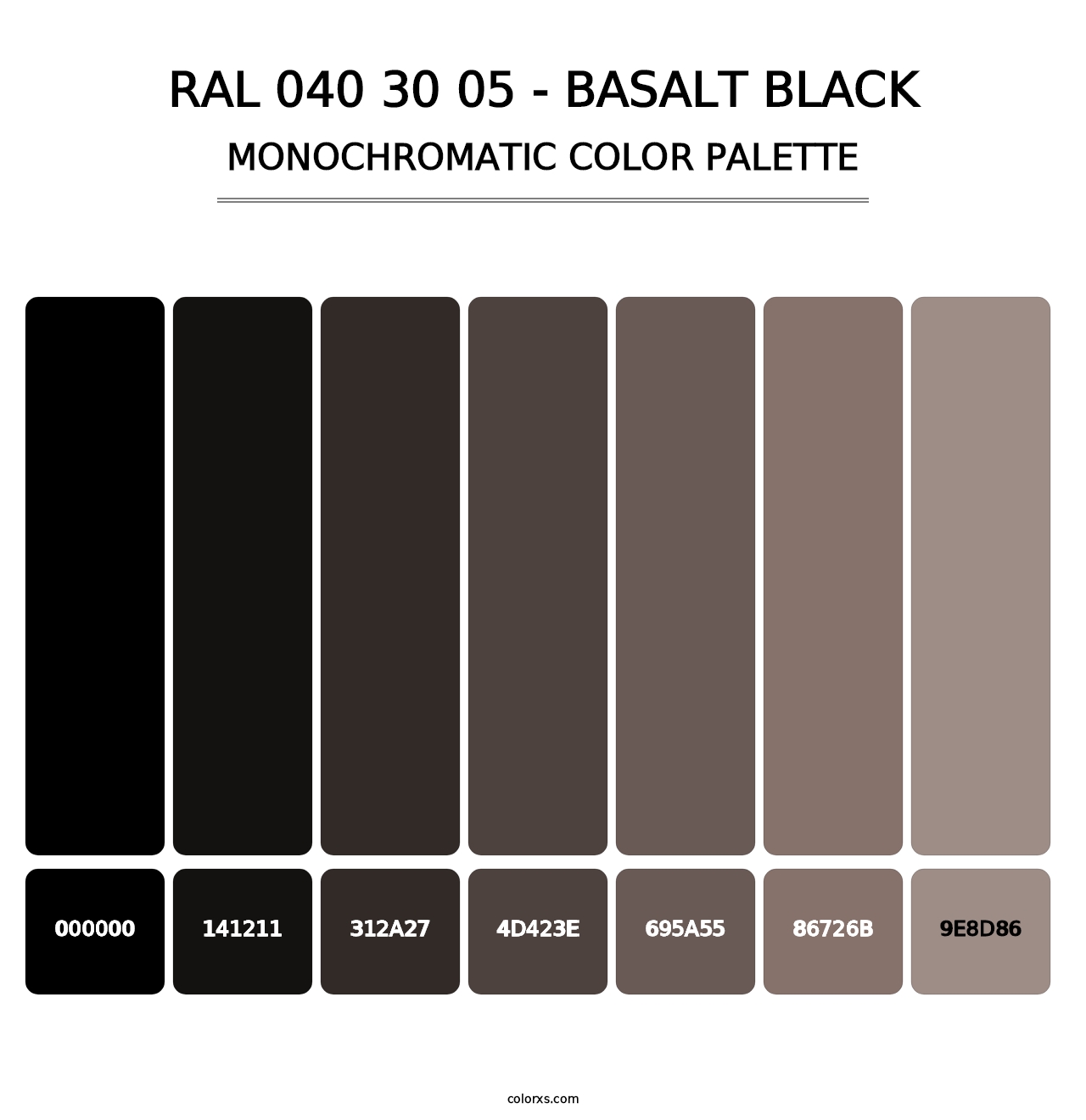 RAL 040 30 05 - Basalt Black - Monochromatic Color Palette