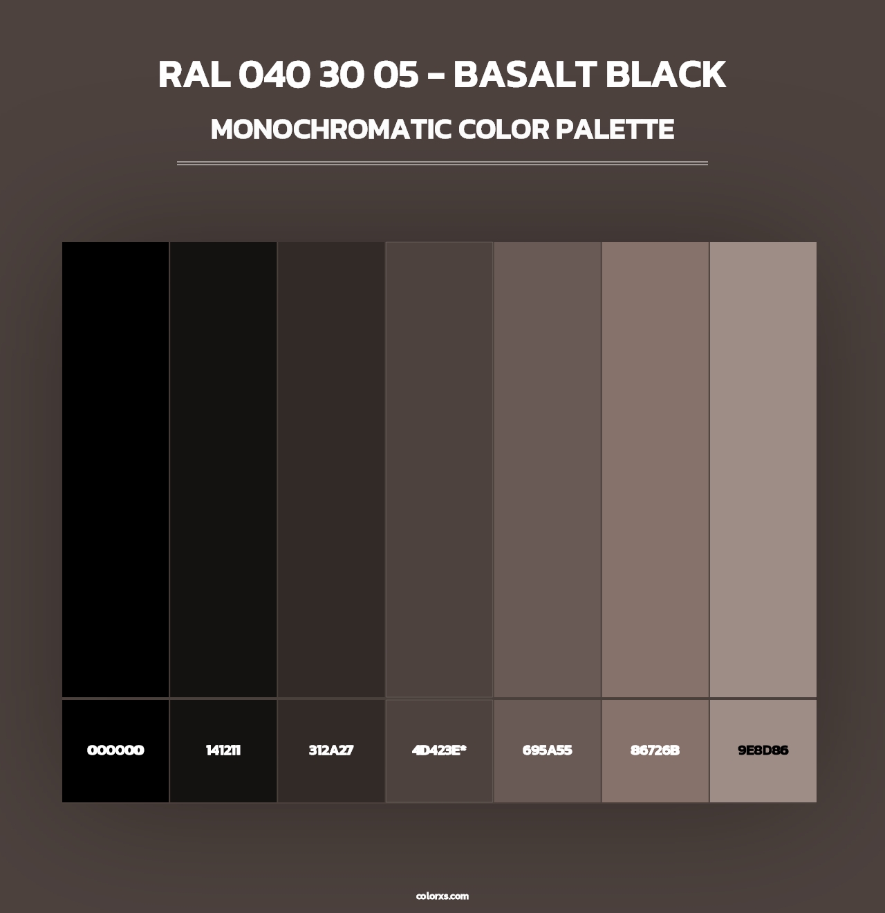 RAL 040 30 05 - Basalt Black - Monochromatic Color Palette