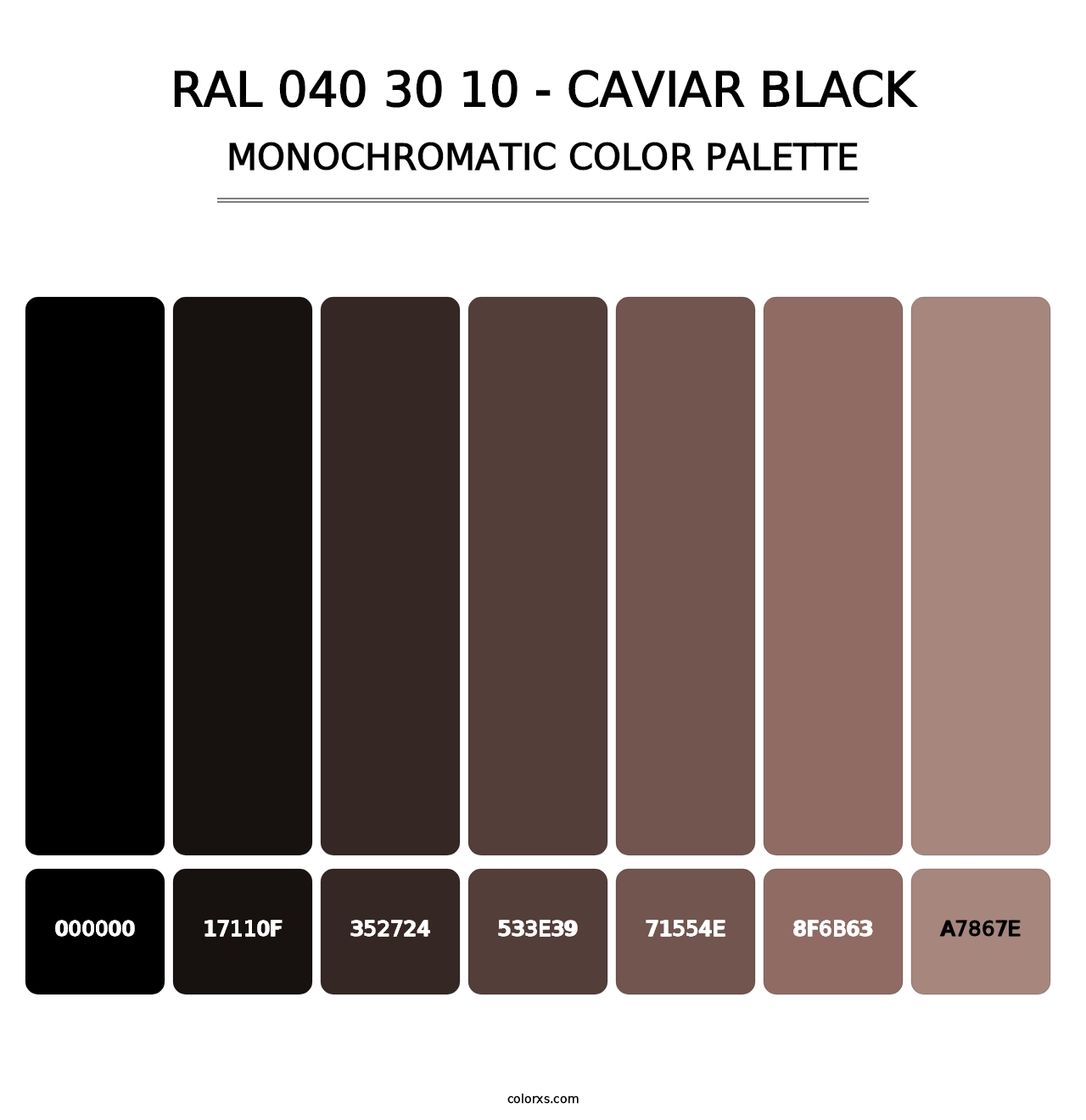 RAL 040 30 10 - Caviar Black - Monochromatic Color Palette