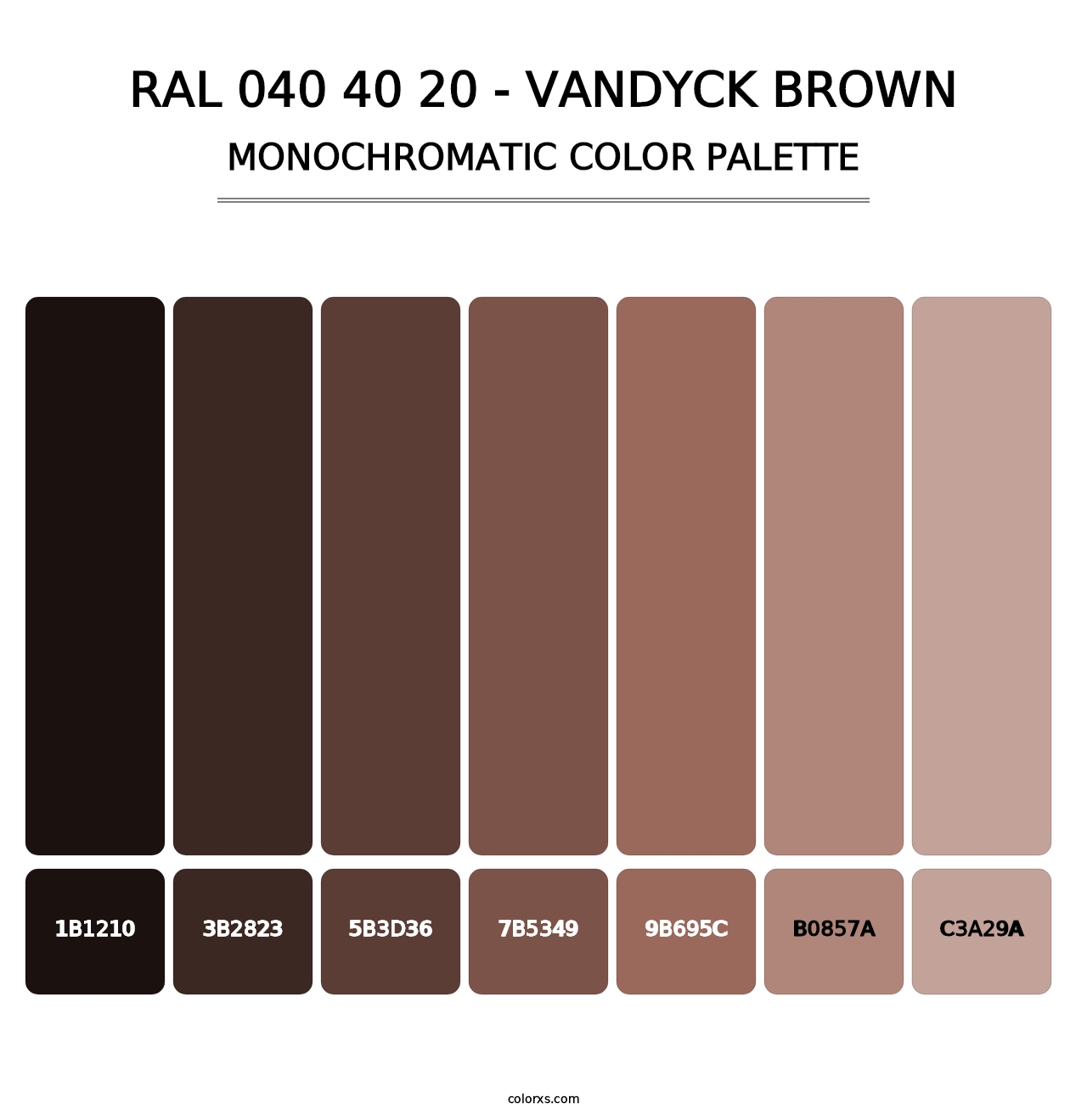 RAL 040 40 20 - Vandyck Brown - Monochromatic Color Palette