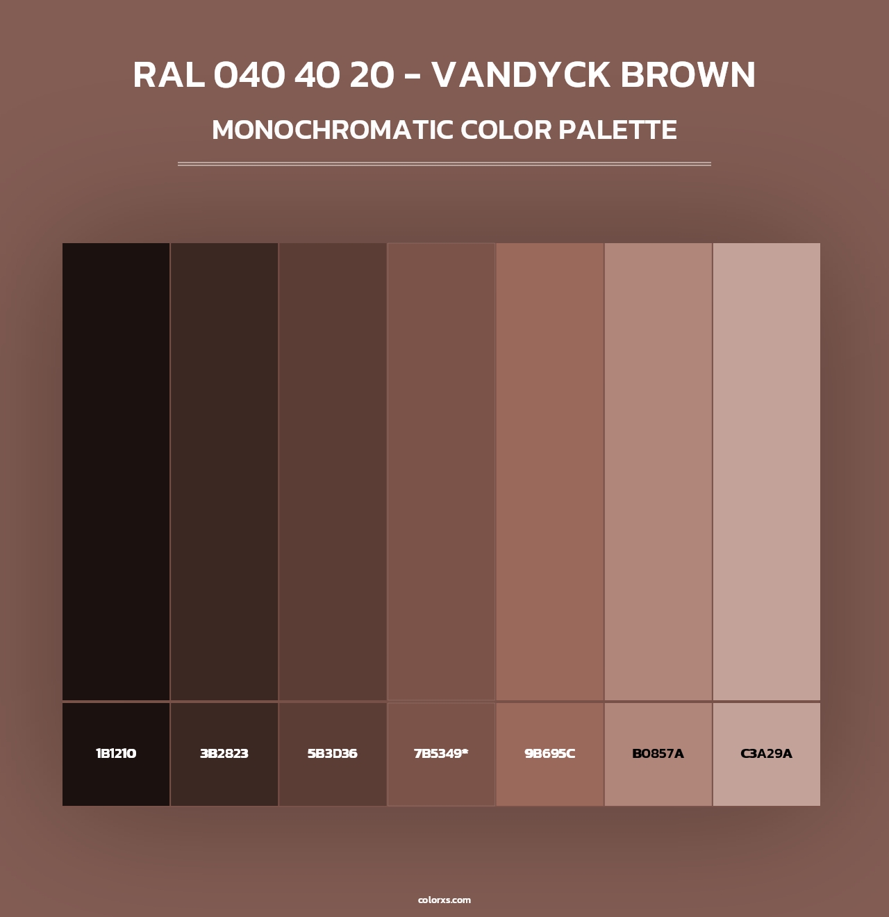 RAL 040 40 20 - Vandyck Brown - Monochromatic Color Palette