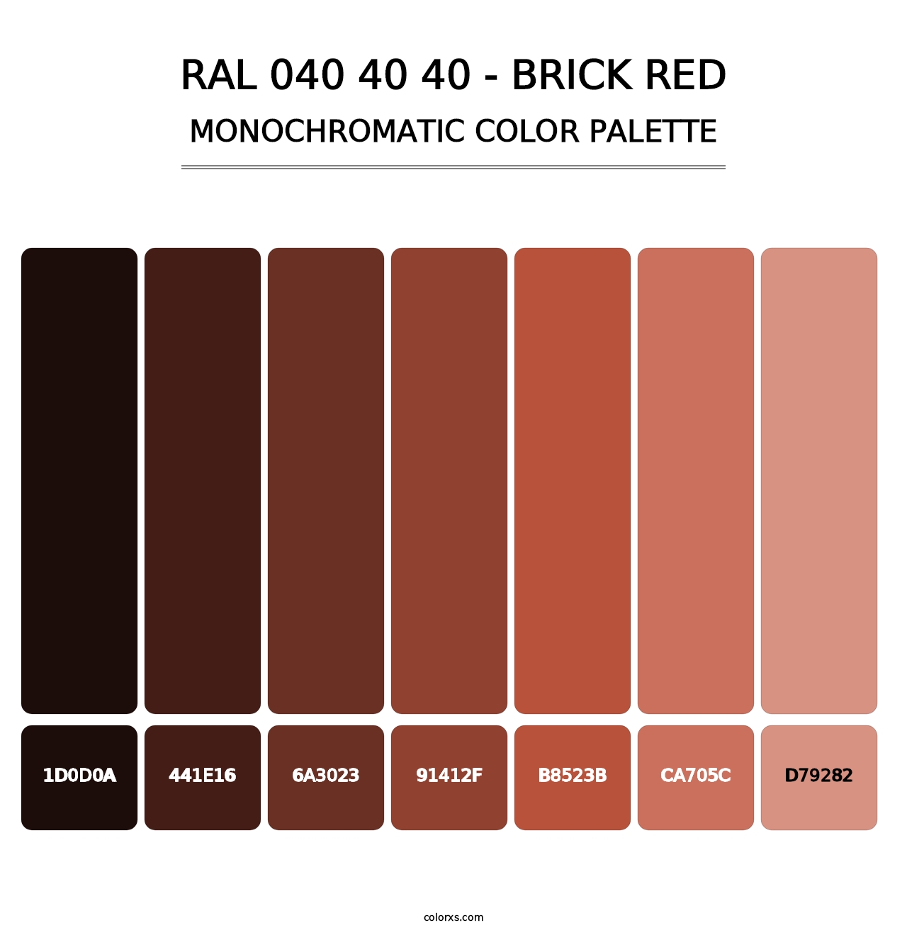 RAL 040 40 40 - Brick Red - Monochromatic Color Palette