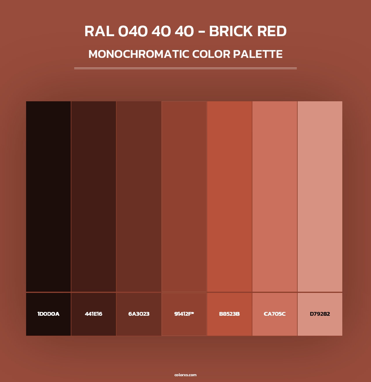 RAL 040 40 40 - Brick Red - Monochromatic Color Palette