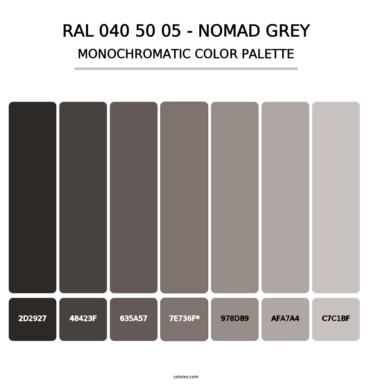RAL 040 50 05 - Nomad Grey - Monochromatic Color Palette