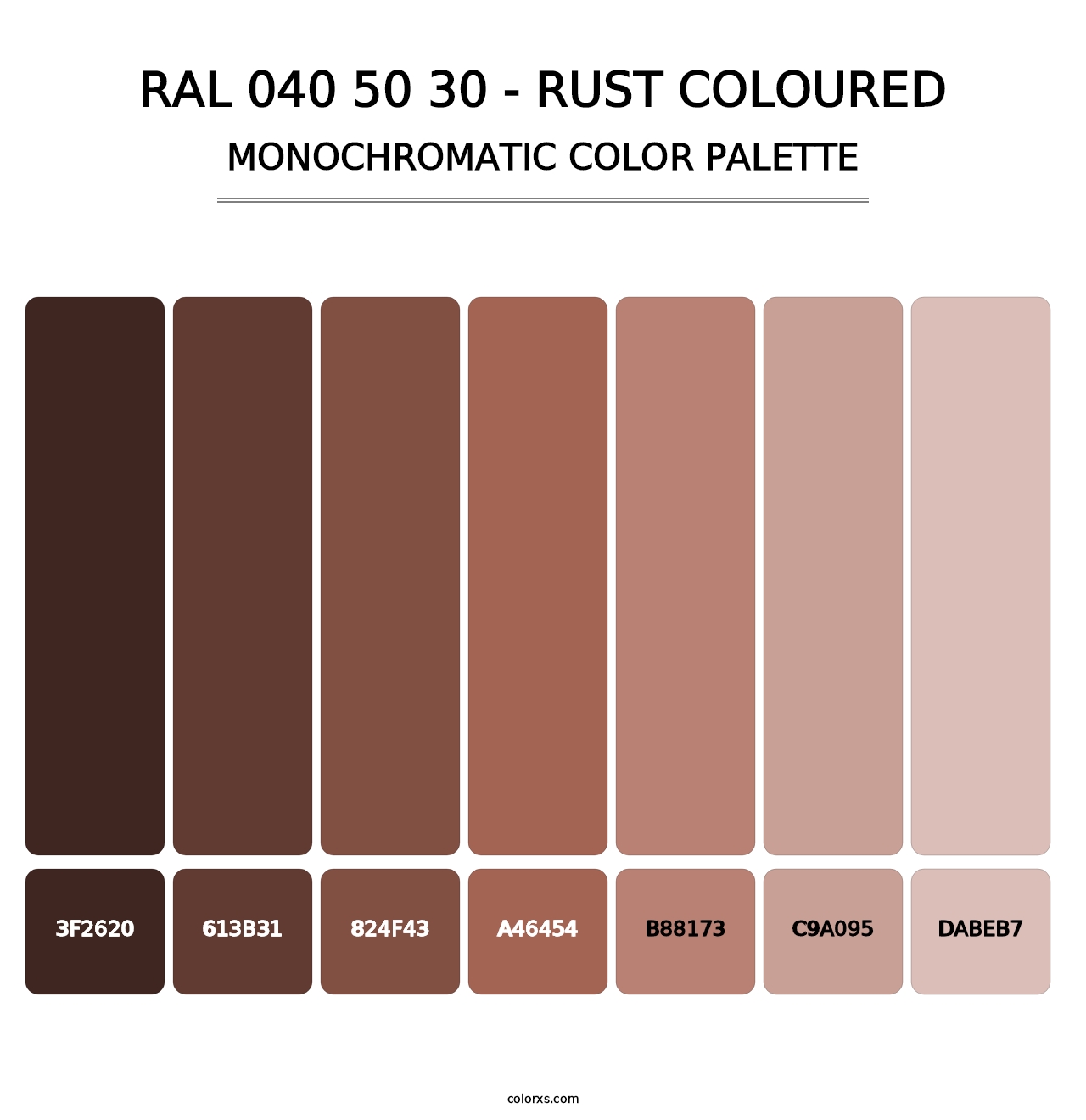 RAL 040 50 30 - Rust Coloured - Monochromatic Color Palette